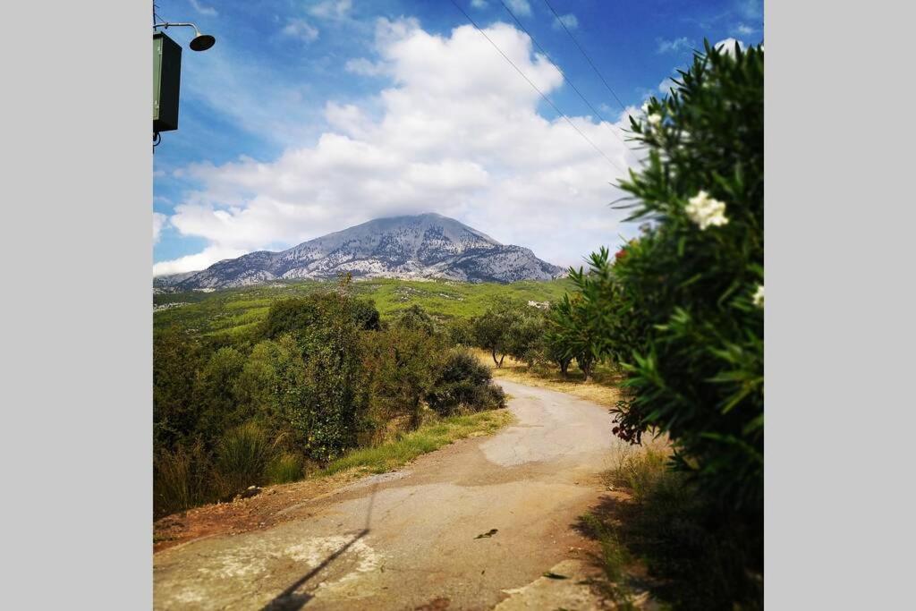ΑΡΧΟΝΤΙΚΟ ΣΤΟΥΣ ΠΡΟΠΟΔΕΣ ΤΟΥ ΟΡΟΥΣ ΔΙΡΦΥΣ view 3