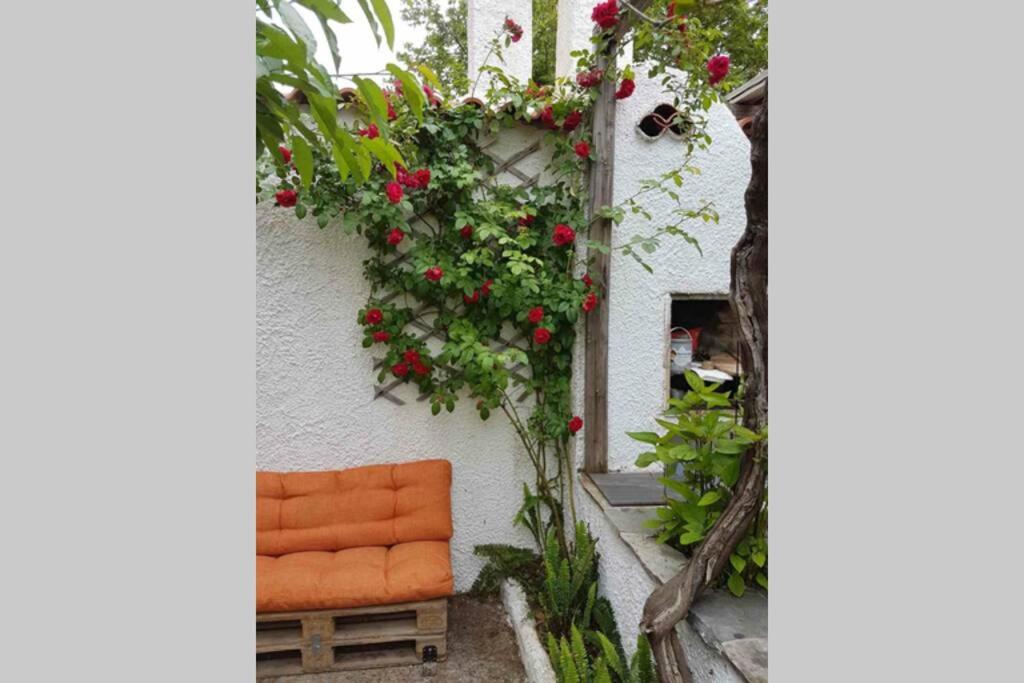 ΑΡΧΟΝΤΙΚΟ ΣΤΟΥΣ ΠΡΟΠΟΔΕΣ ΤΟΥ ΟΡΟΥΣ ΔΙΡΦΥΣ view 5