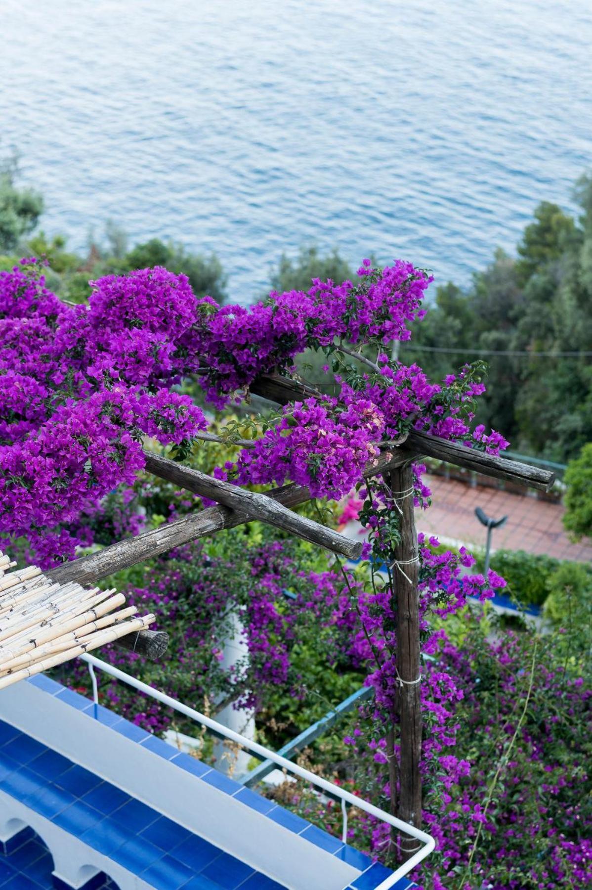 Villa Mediterranea - Homelike Villas photo 5