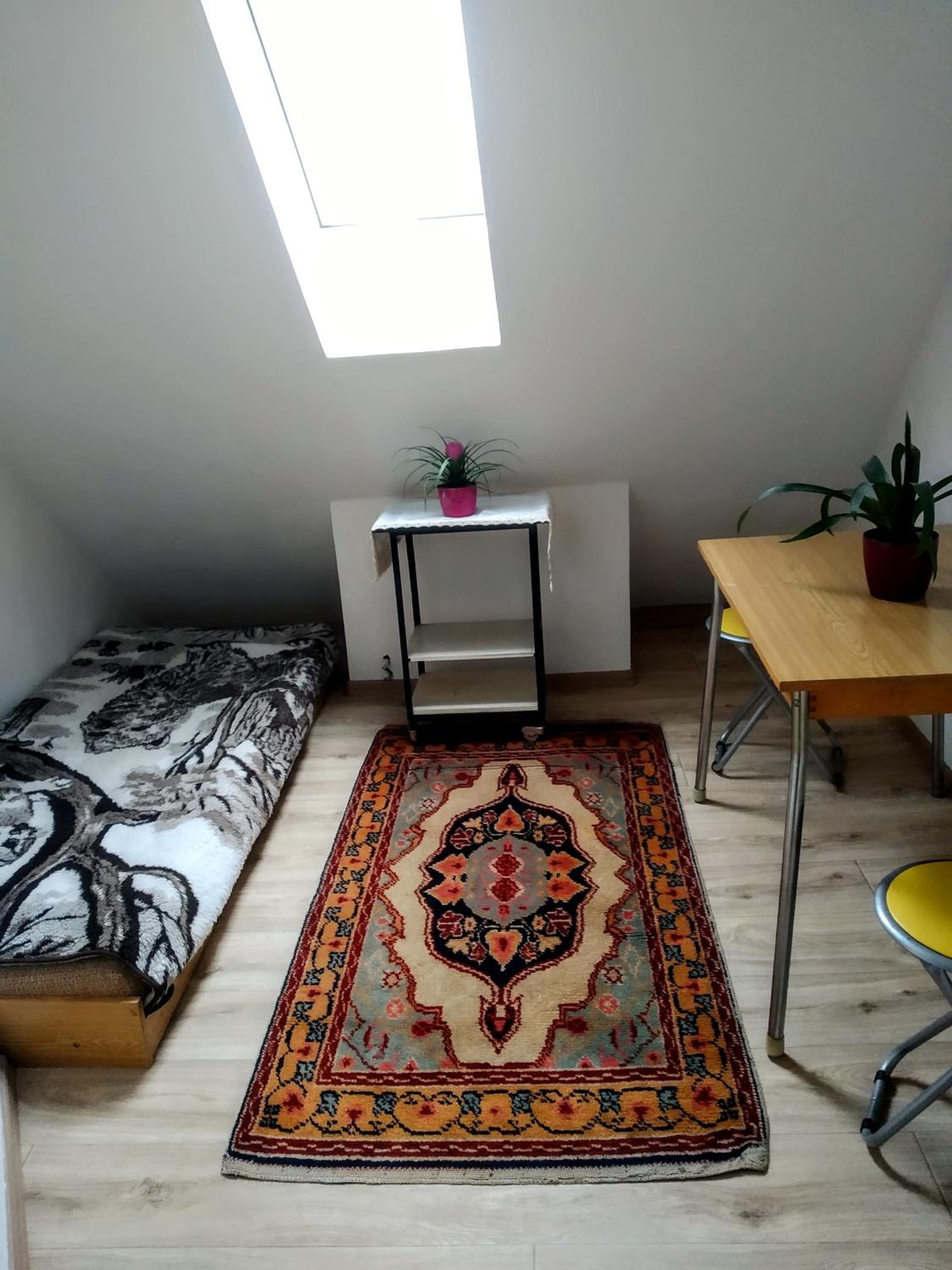 Photo 17