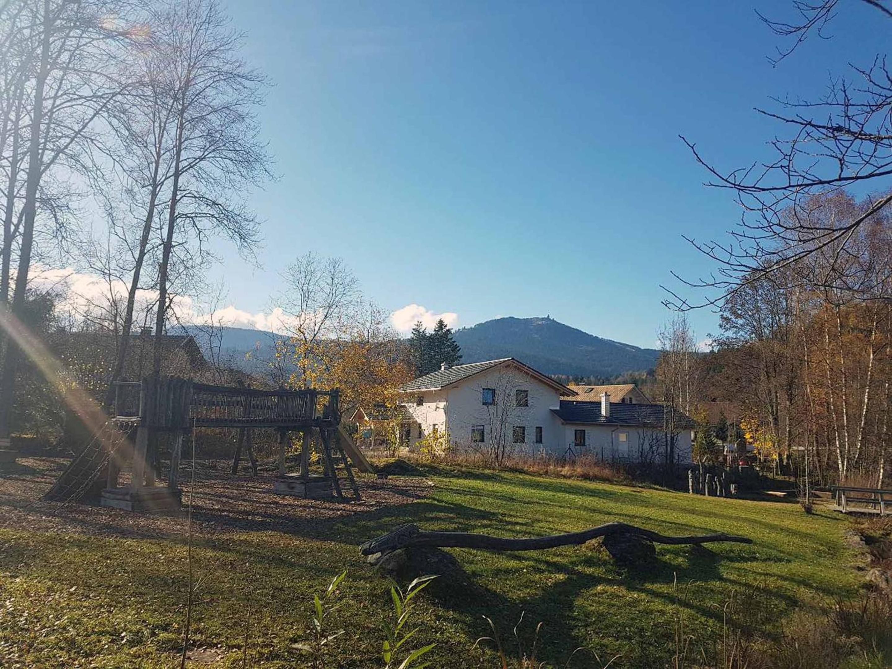 Forest Lodge