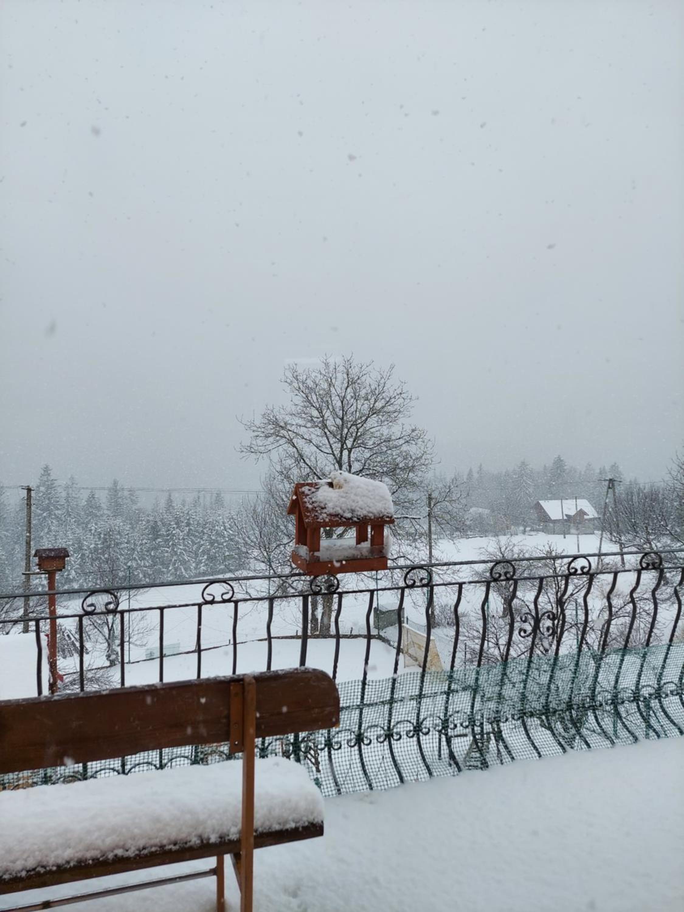 Domek nad Lasem