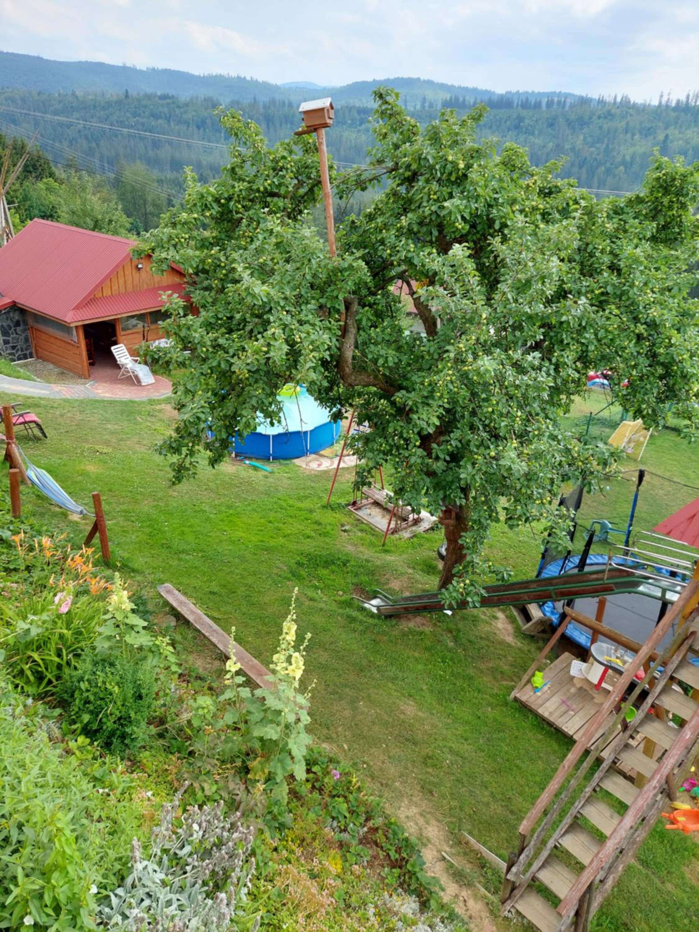 Domek nad Lasem