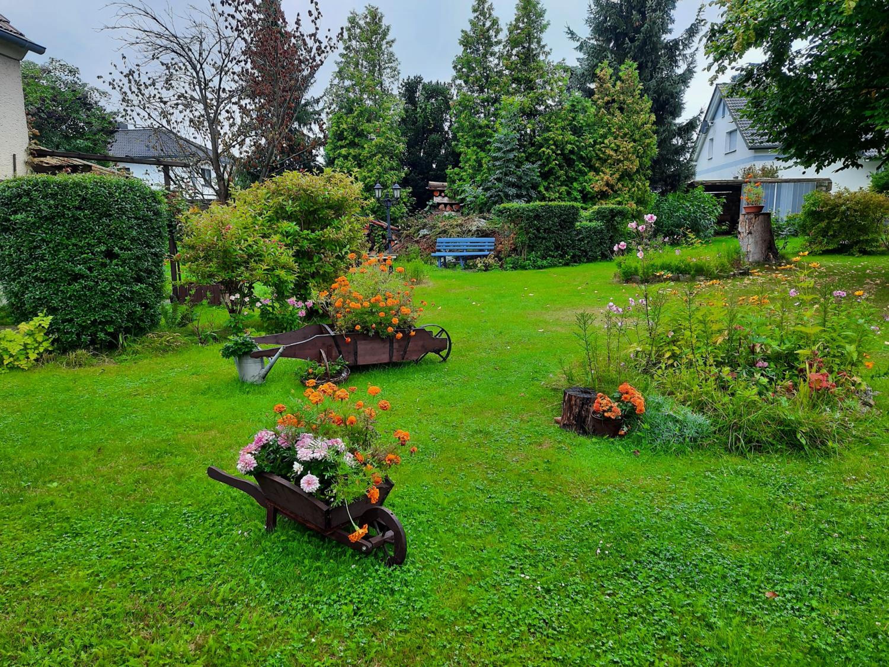 Photo 27
