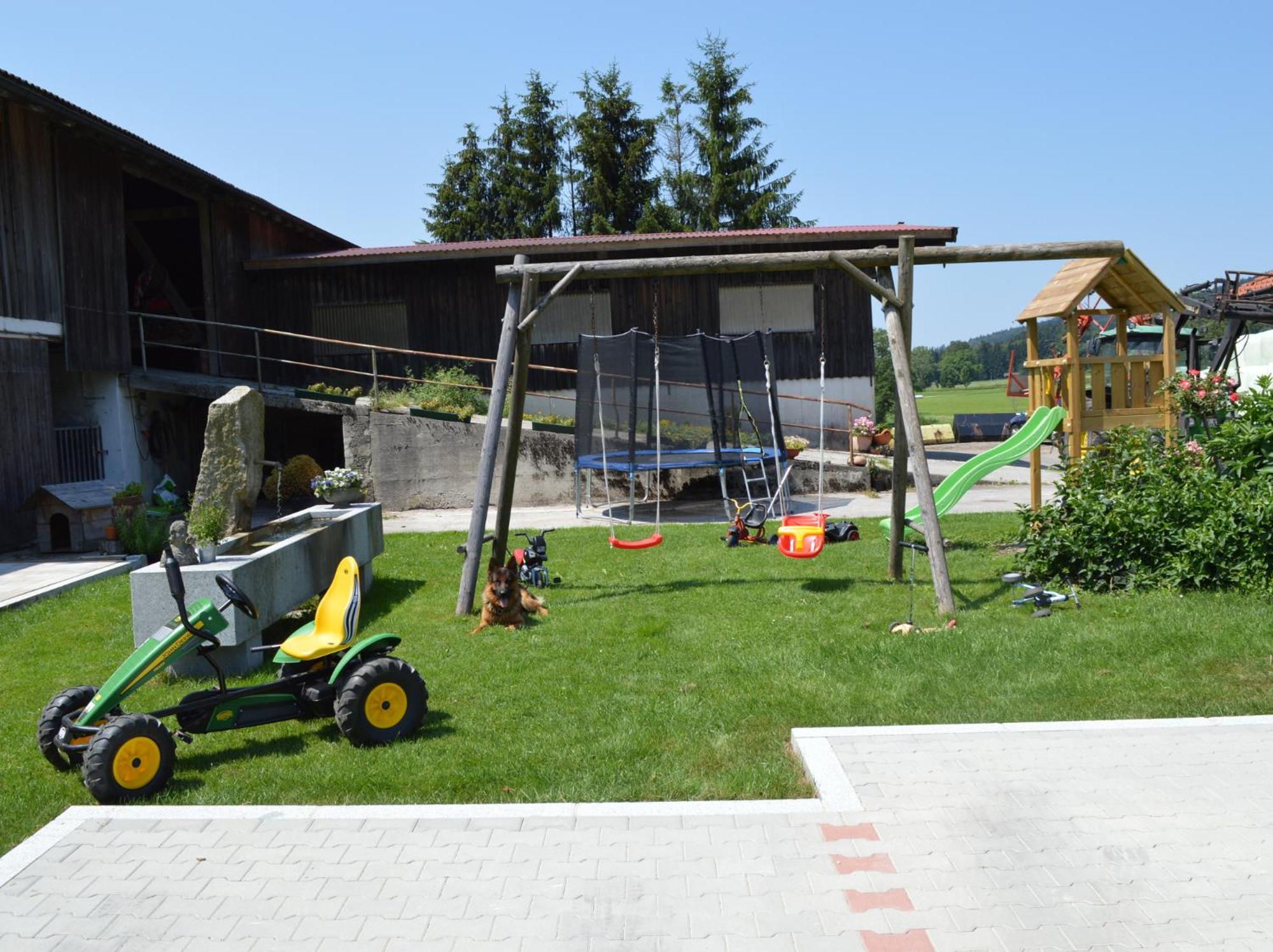 Photo 22