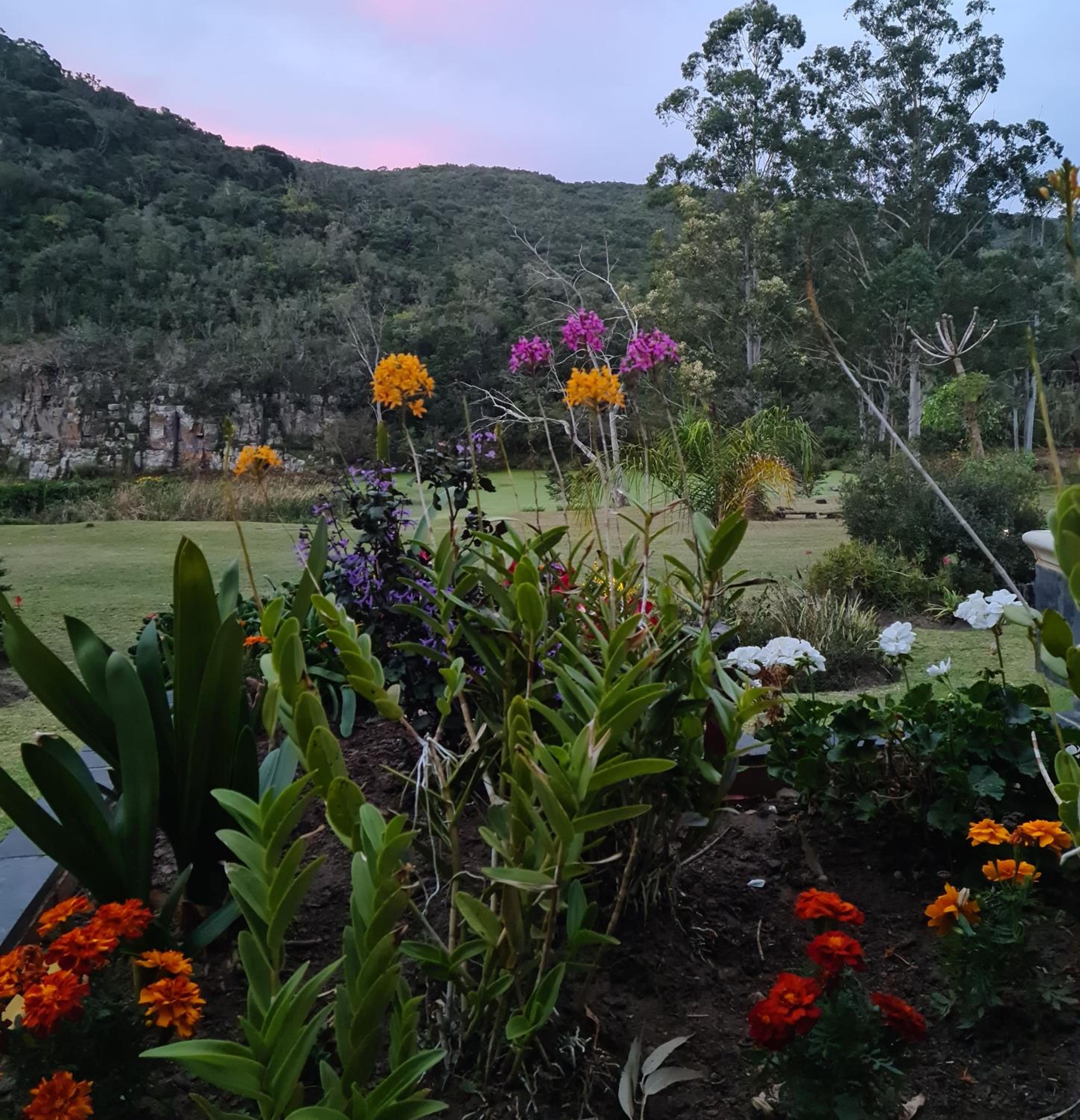 Mackenzies Accommodation