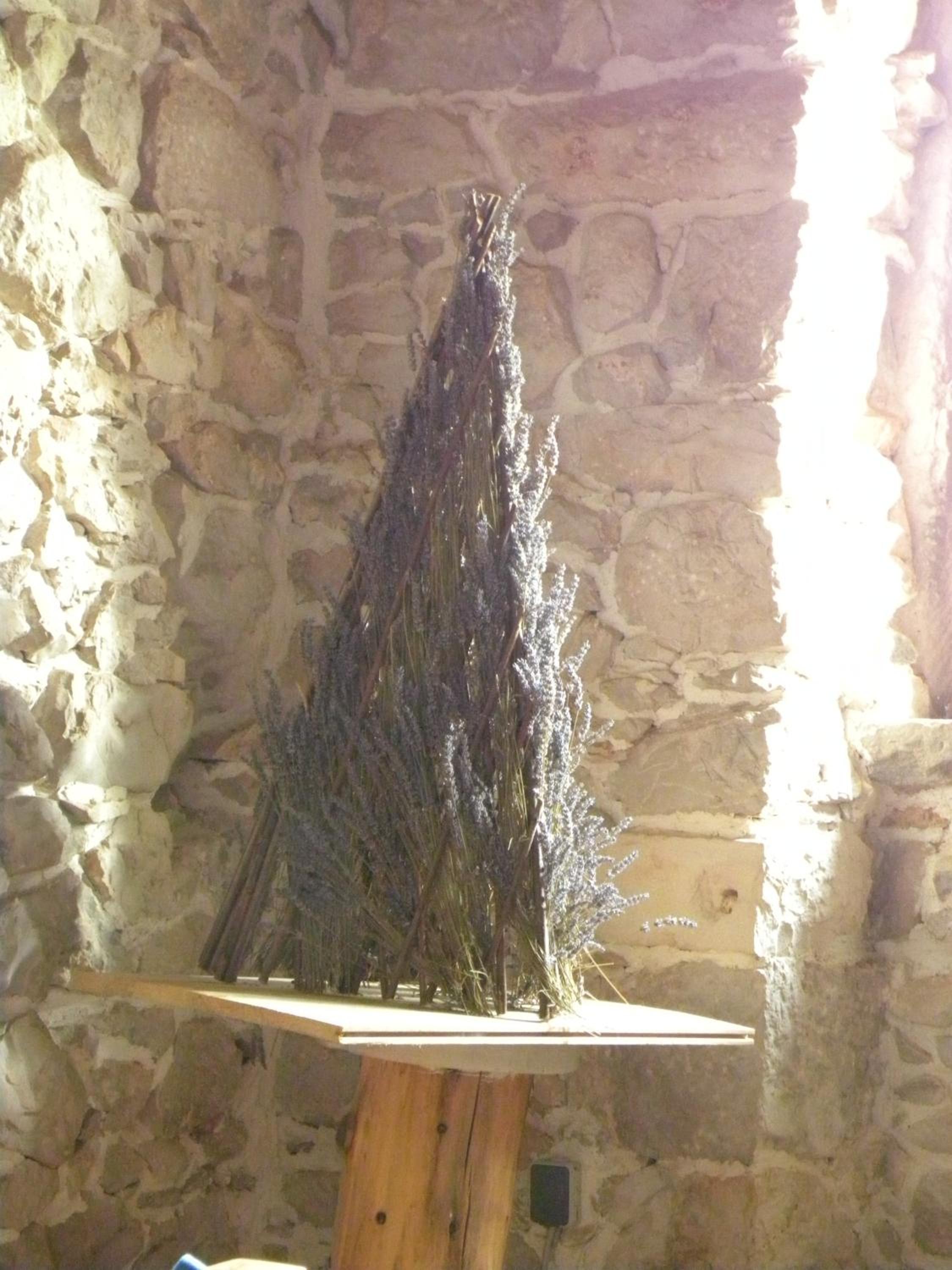 Photo 27