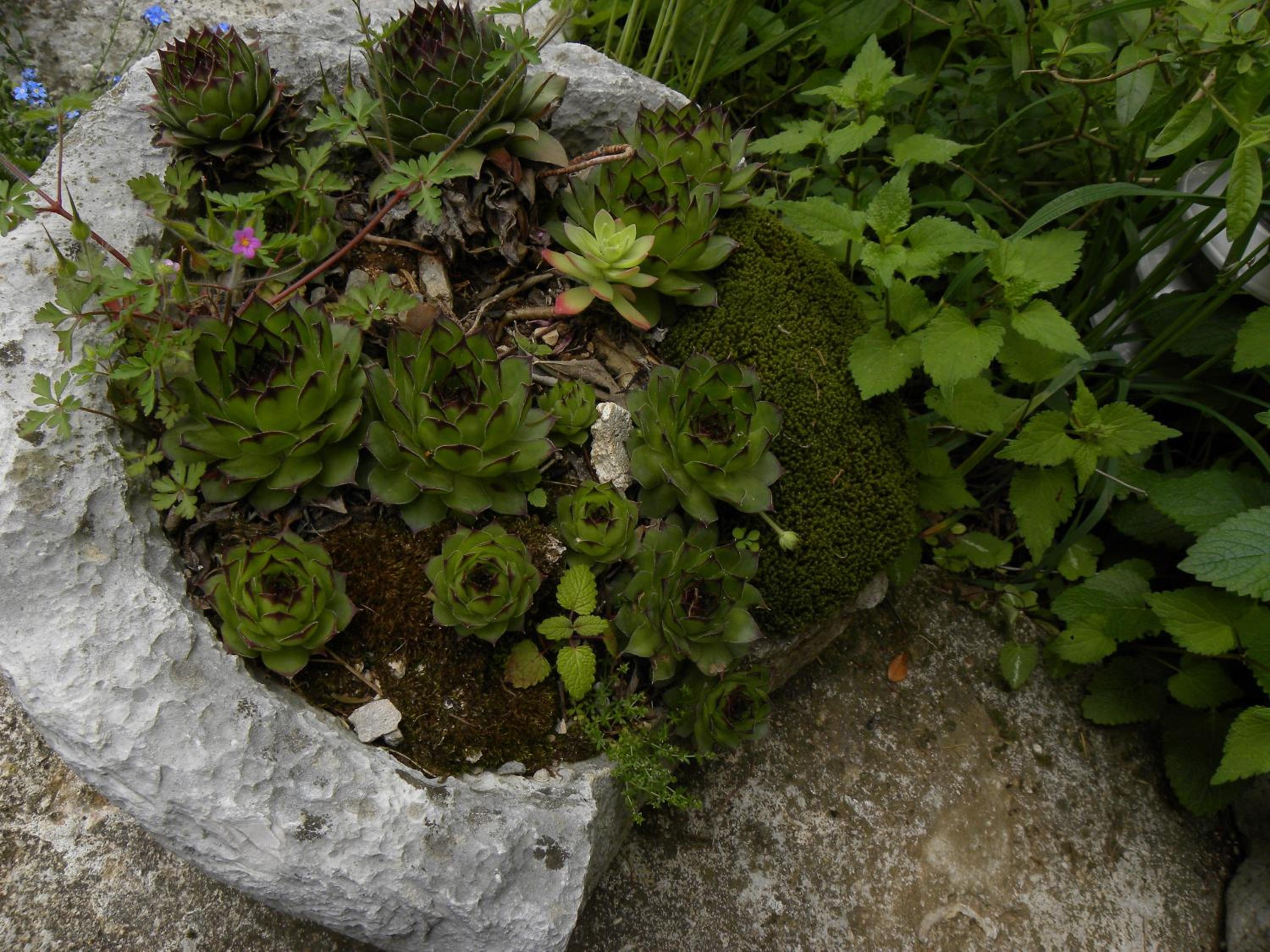 Photo 46