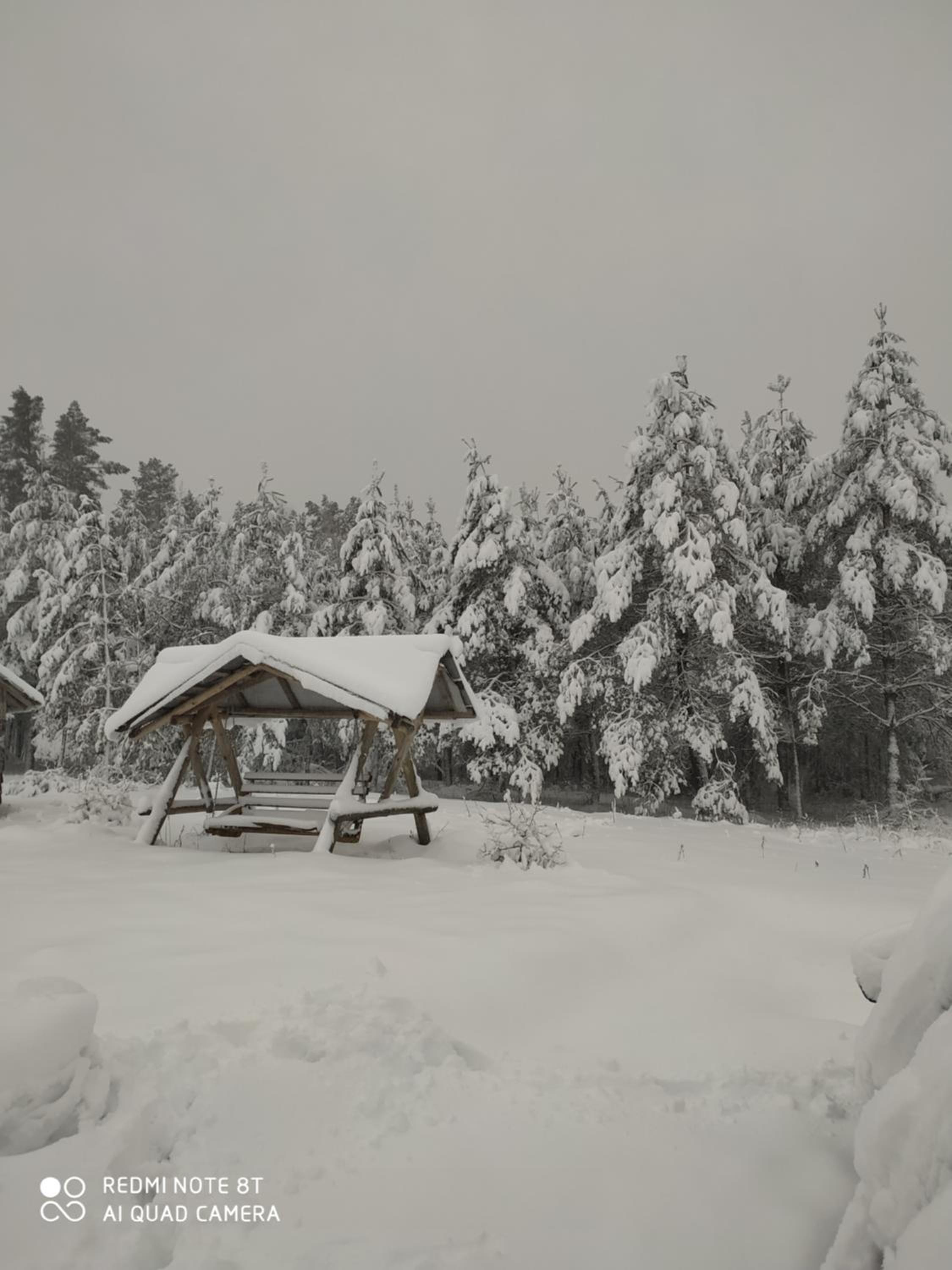 Piglet house view 4