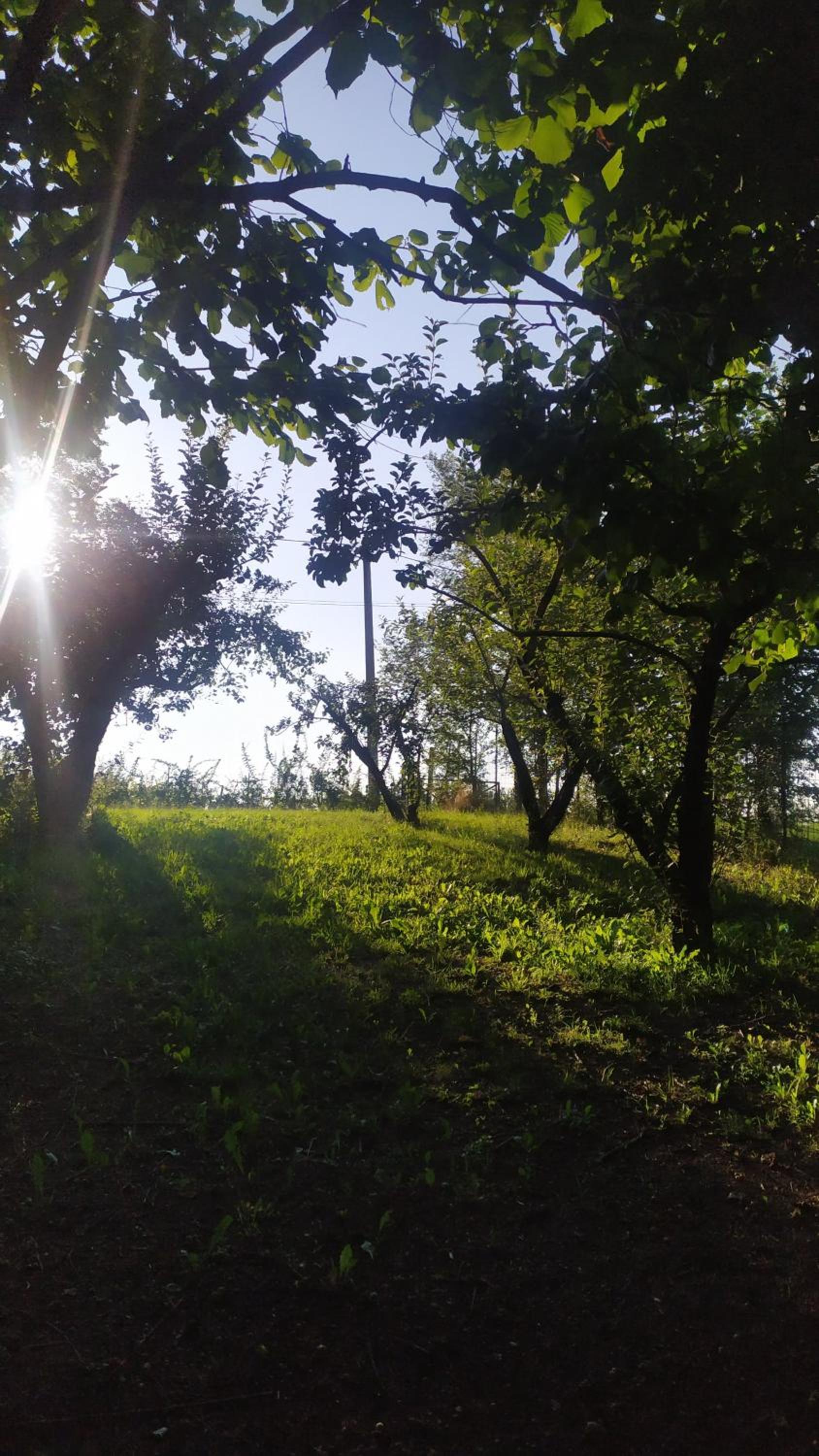 B&B Naturin - Vegan Eco Farm