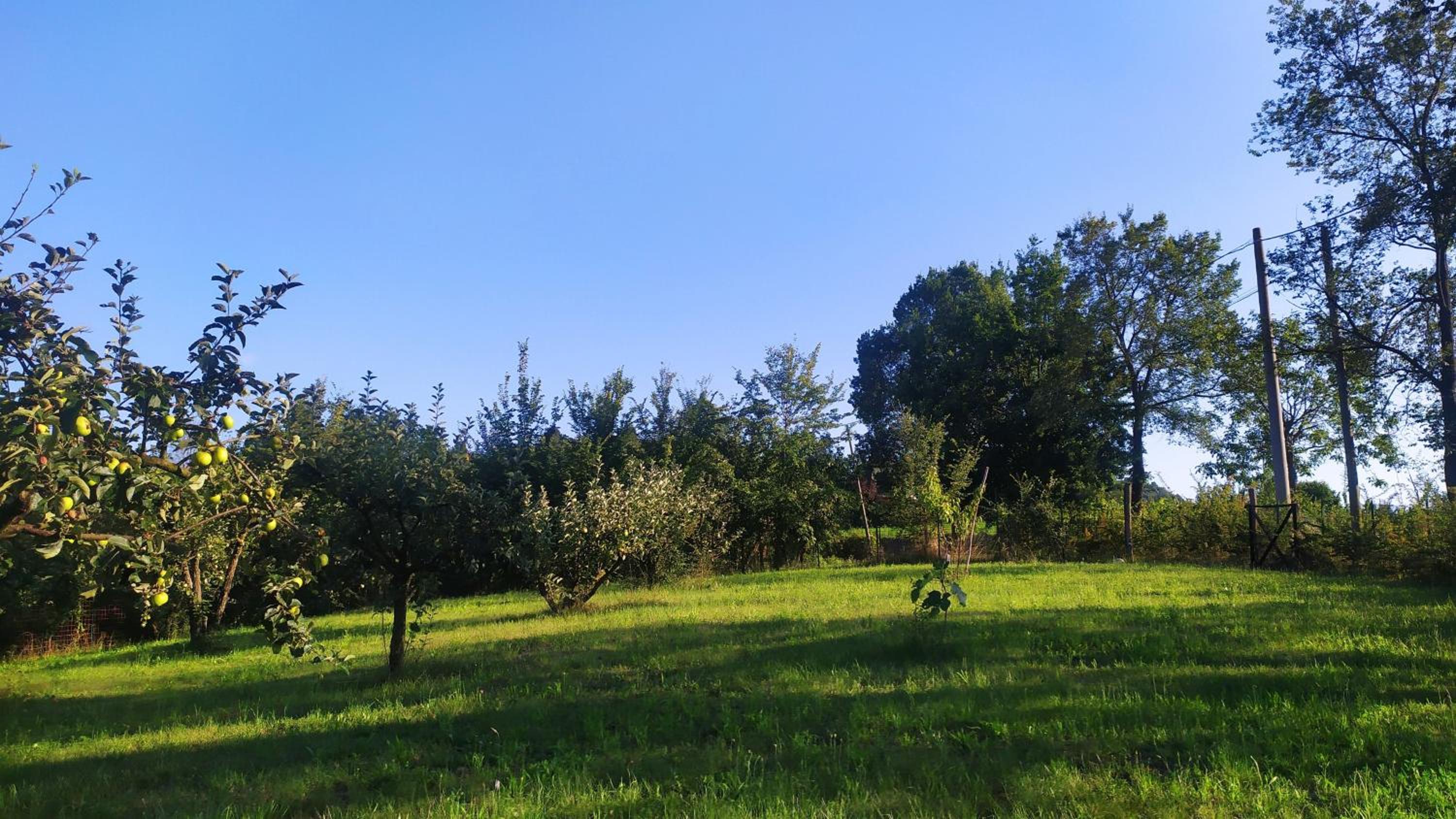 B&B Naturin - Vegan Eco Farm