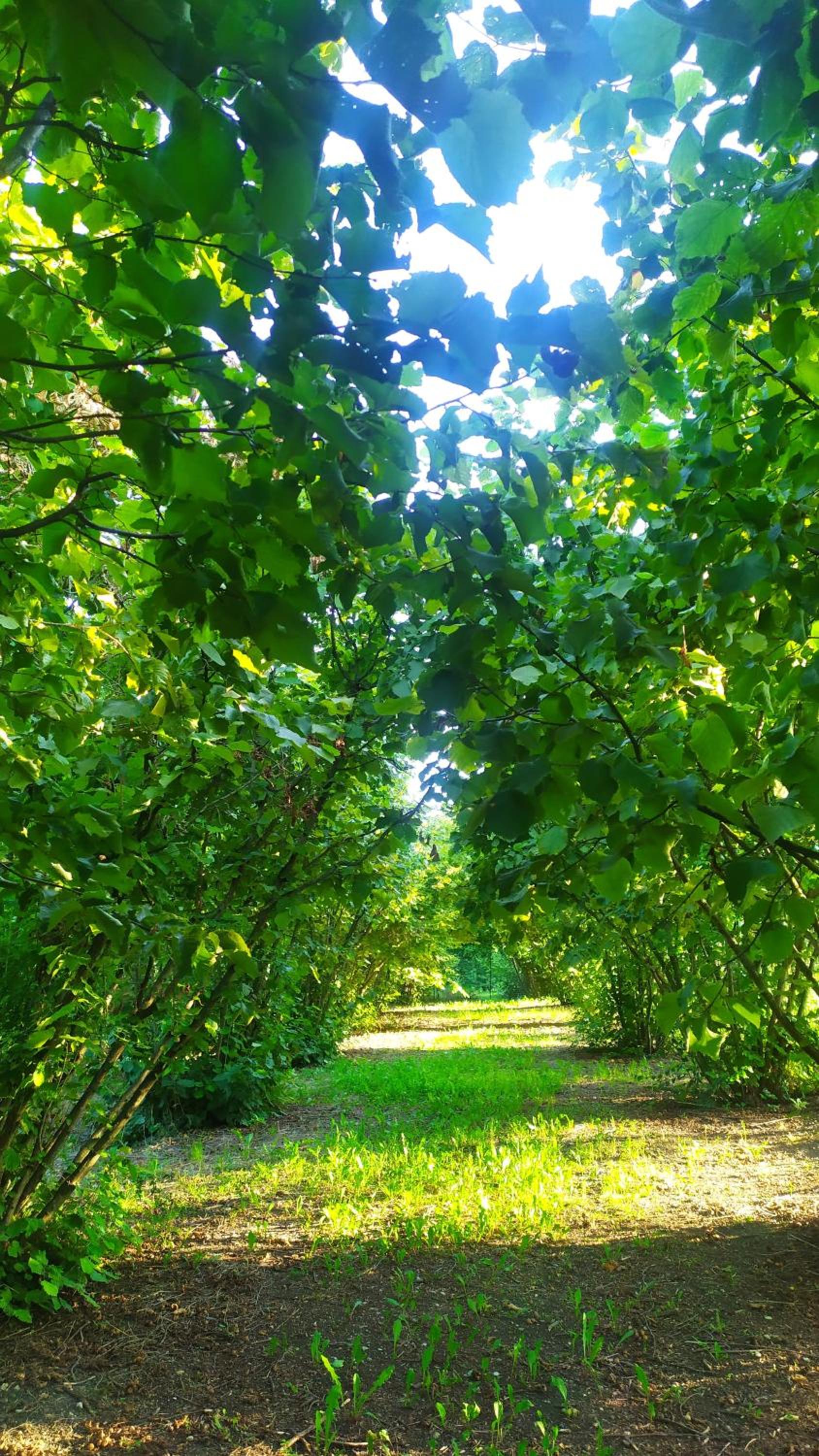 B&B Naturin - Vegan Eco Farm