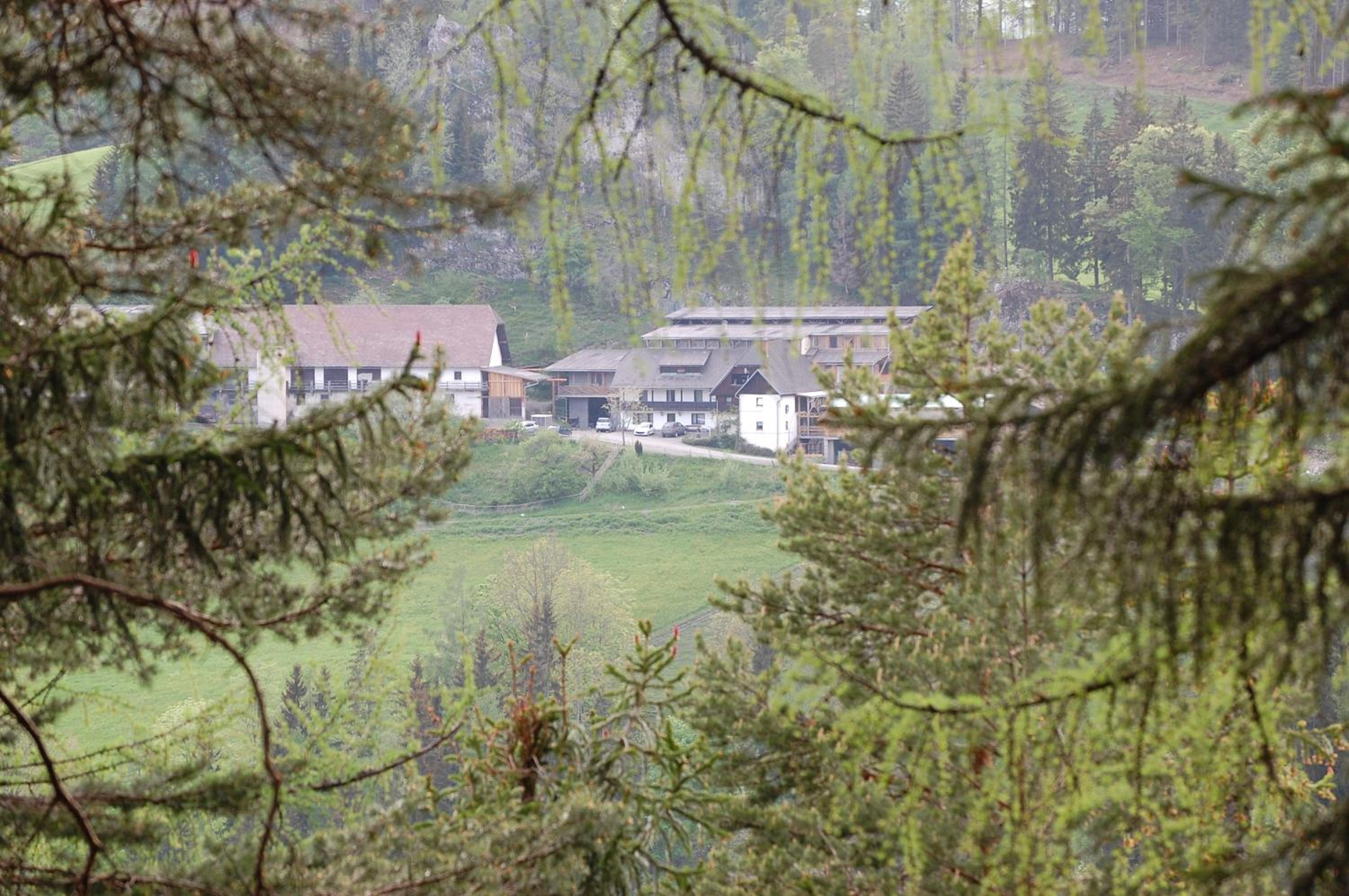 Biohof Sattler