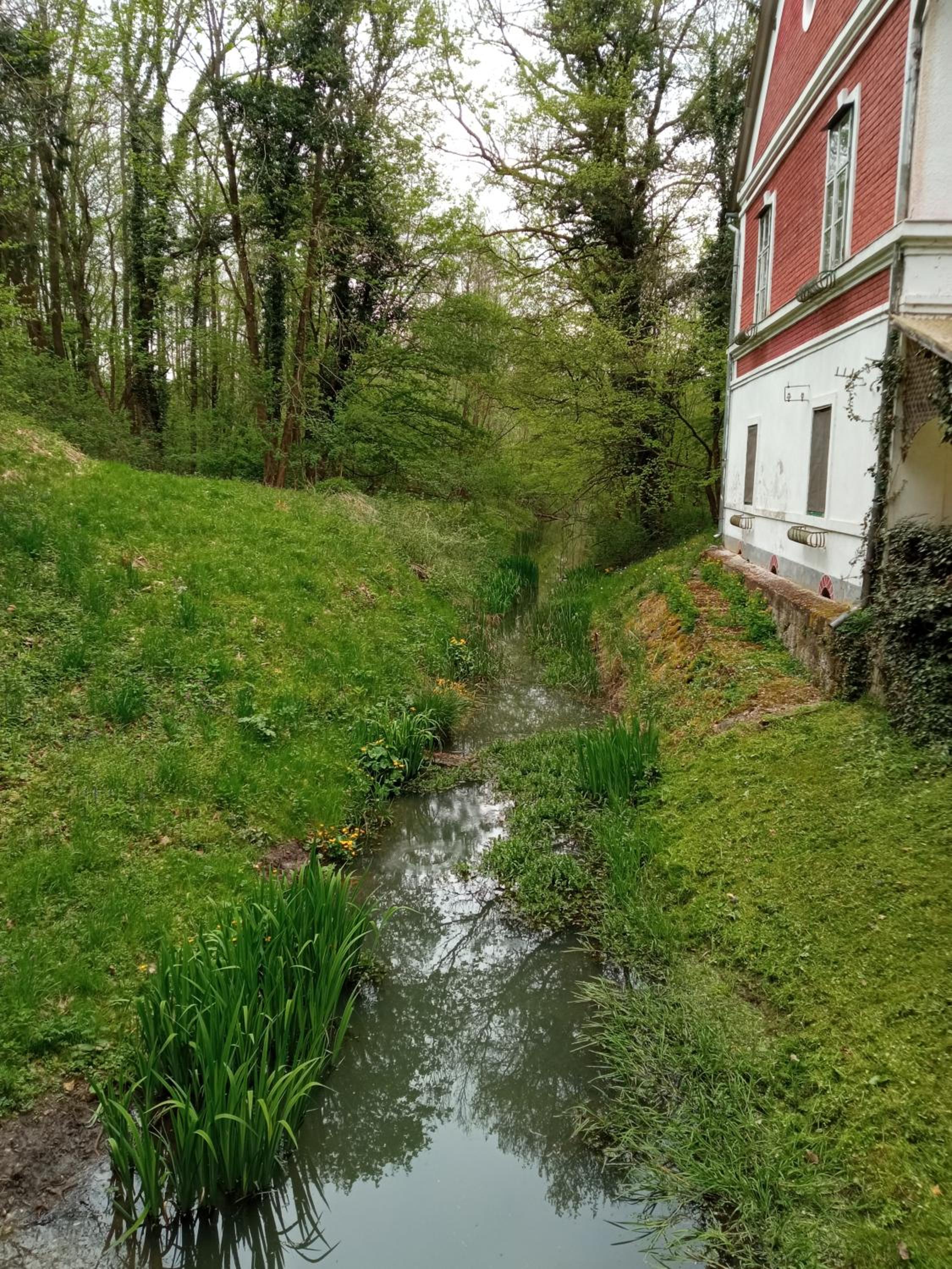 Kalmár Vendégház-Vadászház view 5