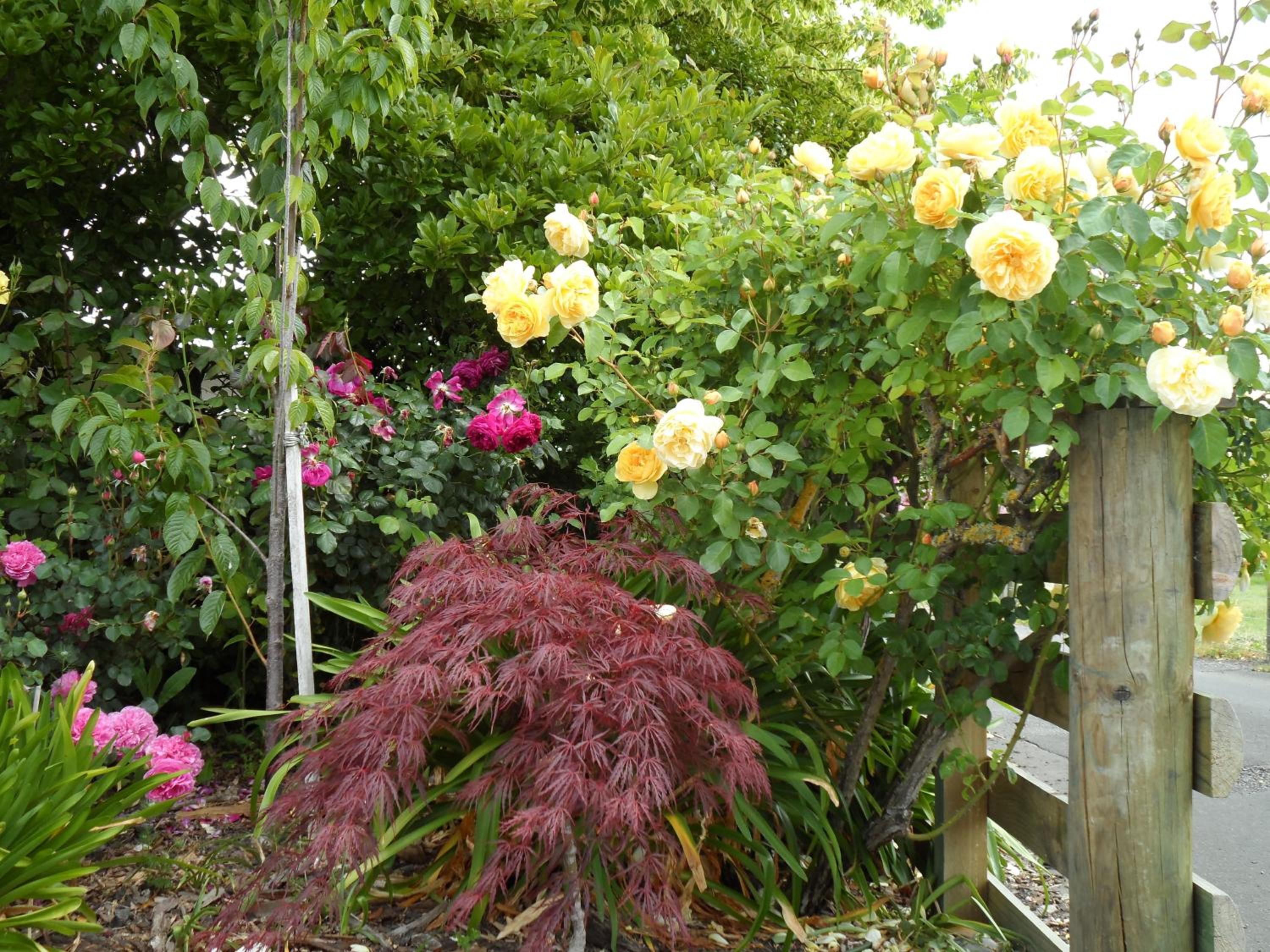 Bluebell Lodge and Cottage