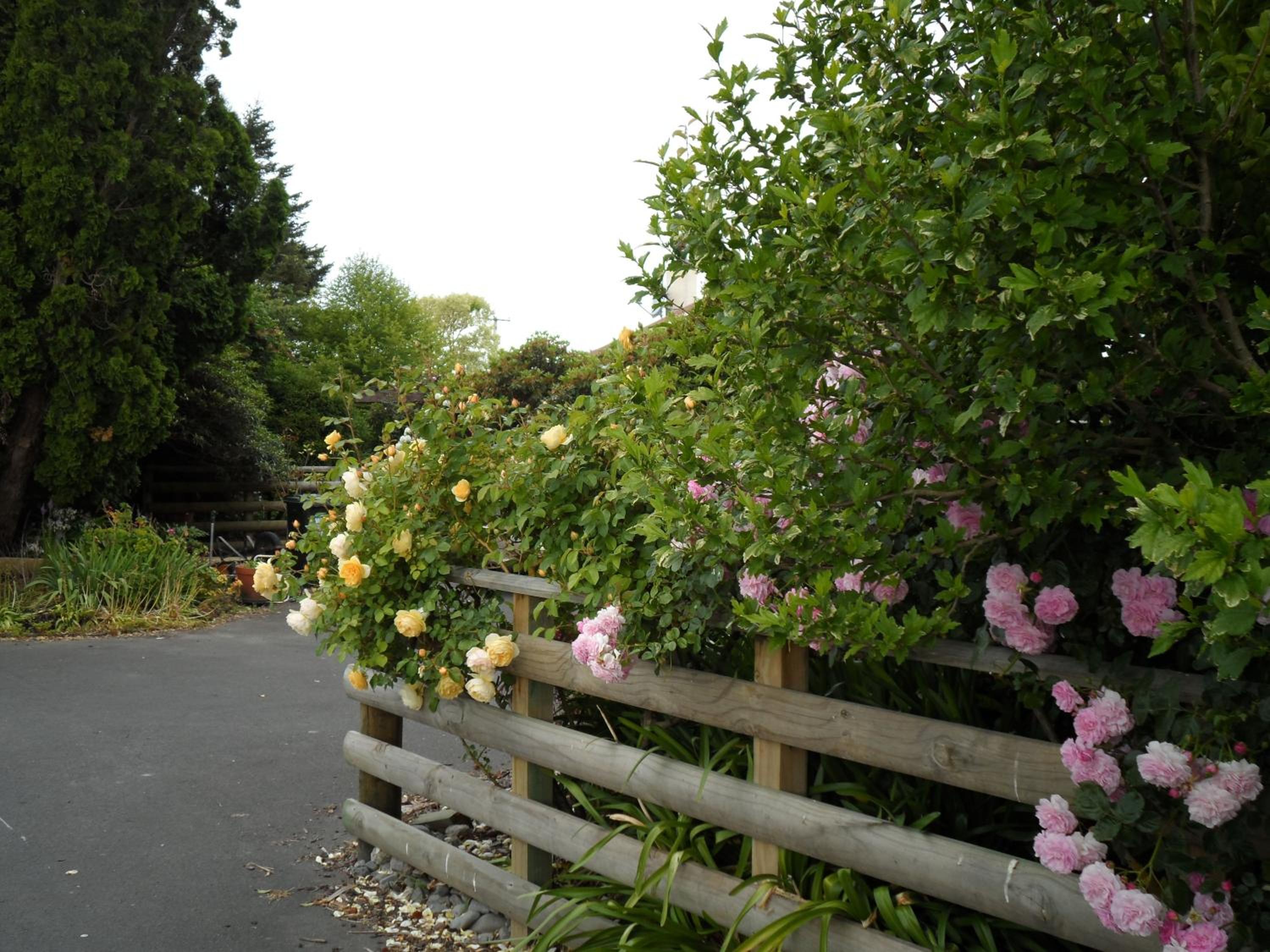 Bluebell Lodge and Cottage