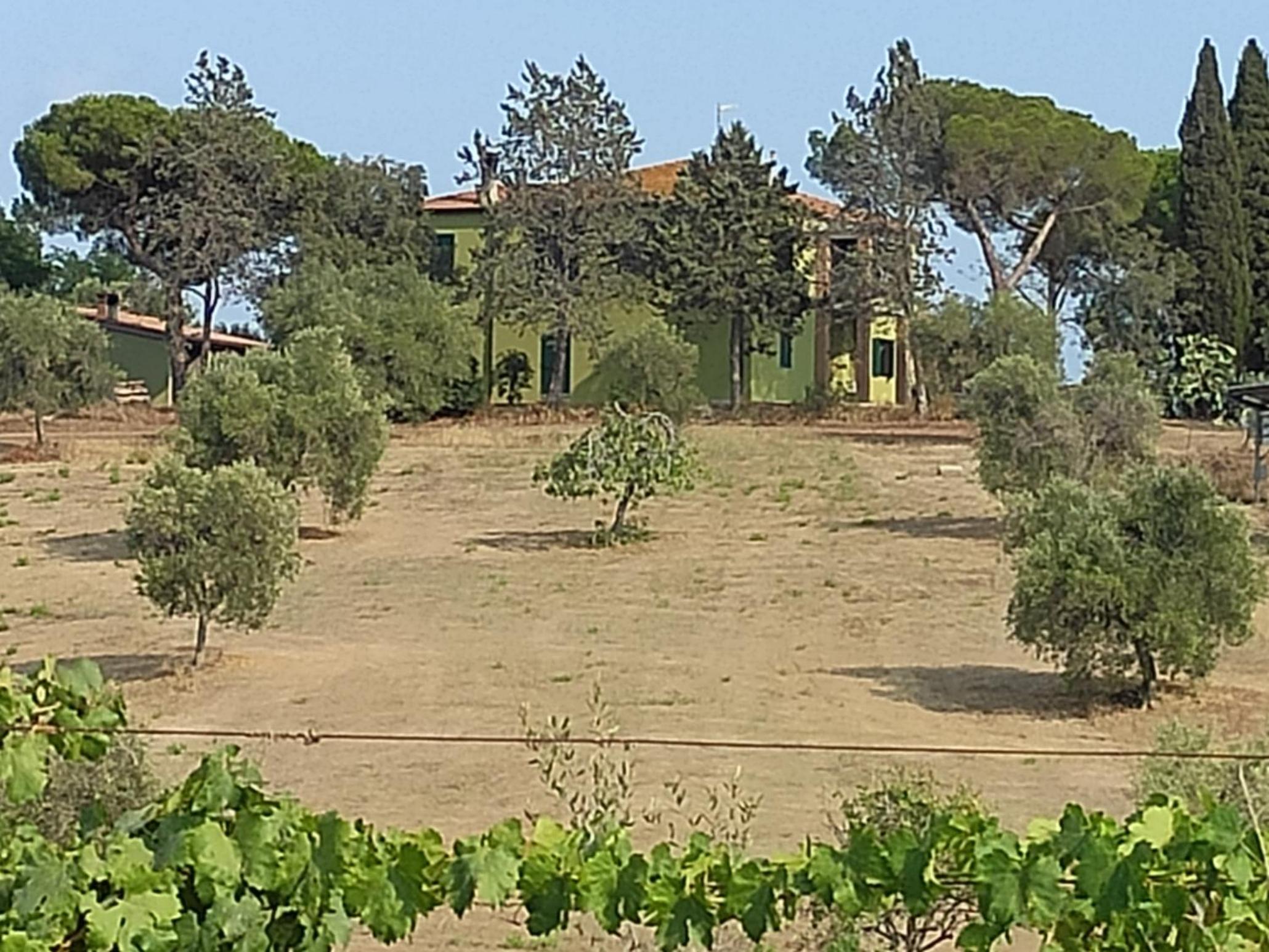 Agriturismo Poggio all'Olivo view 5