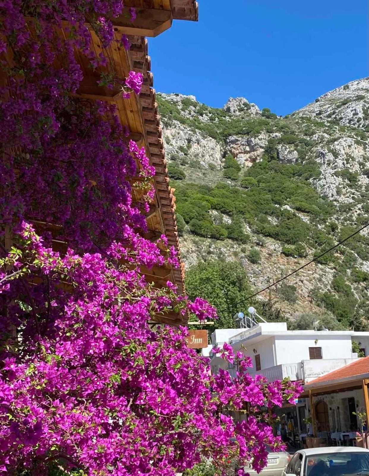 Costas Inn