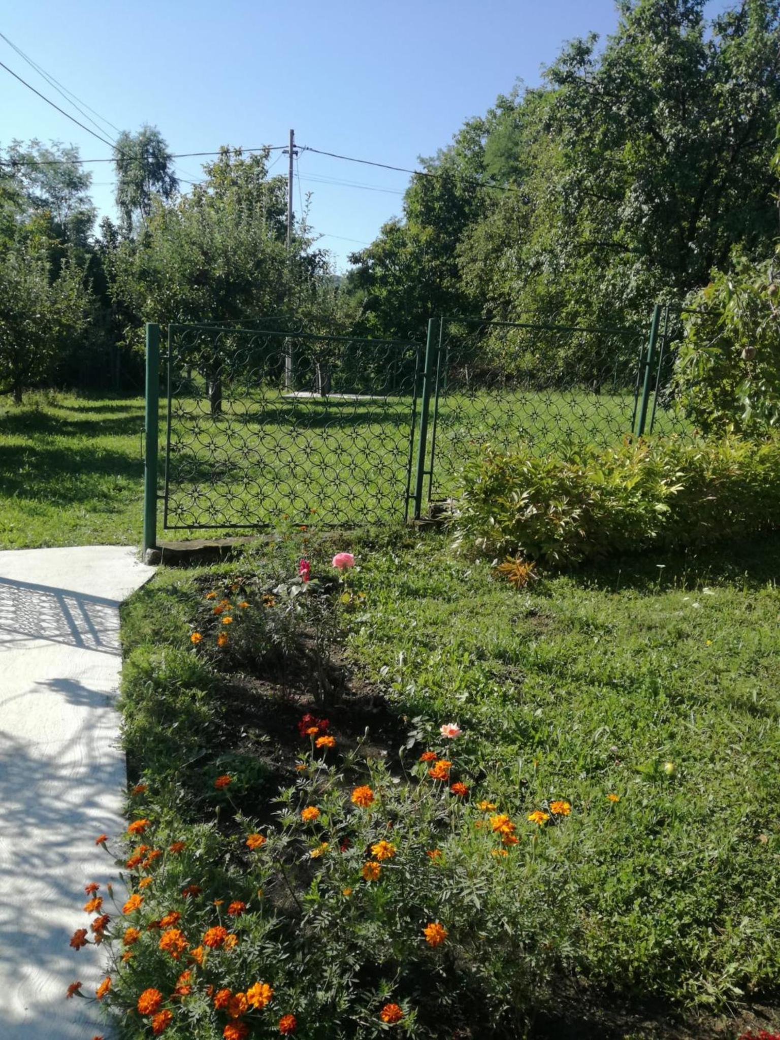 Photo 27