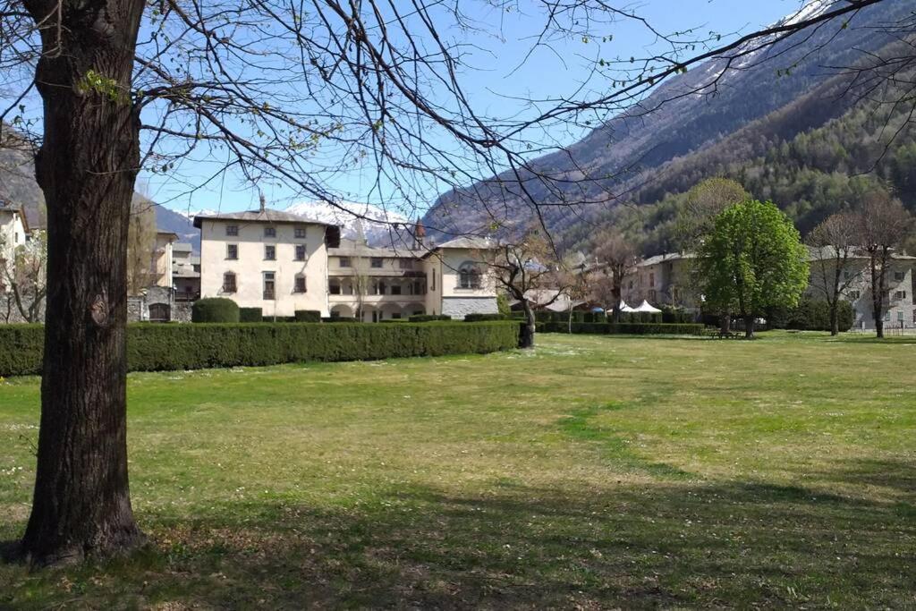 VIVI SERENO, uno stile si vita! view 4