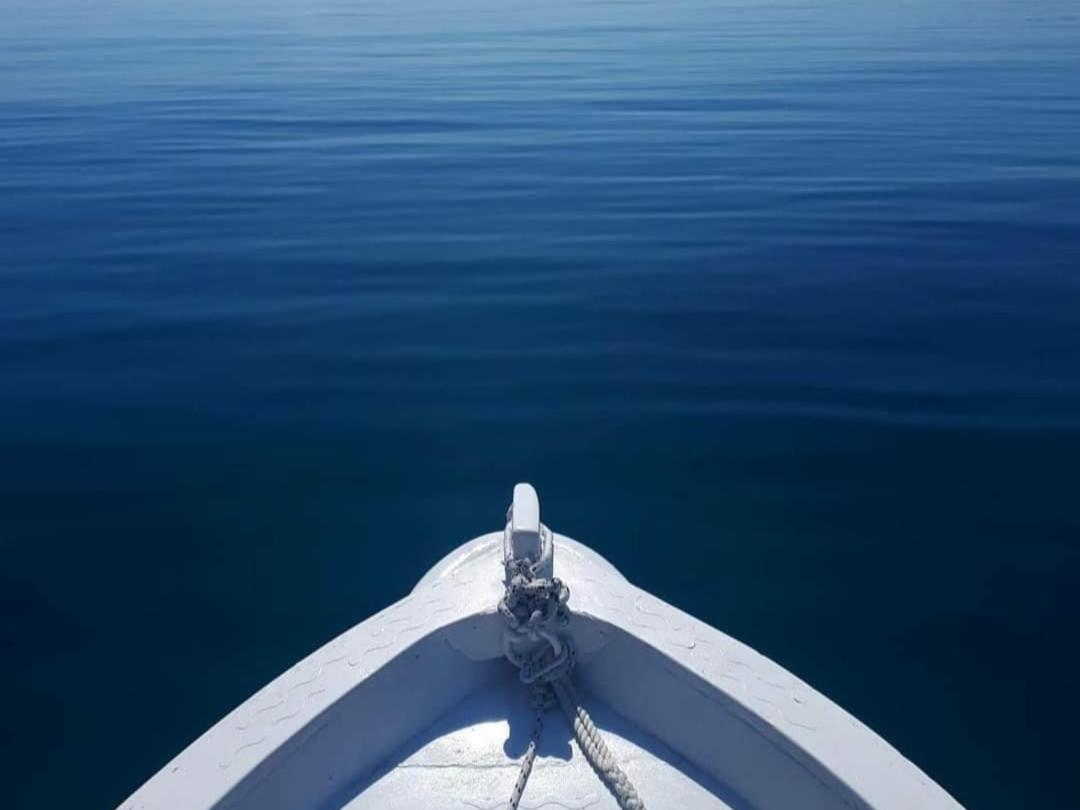 Photo 46