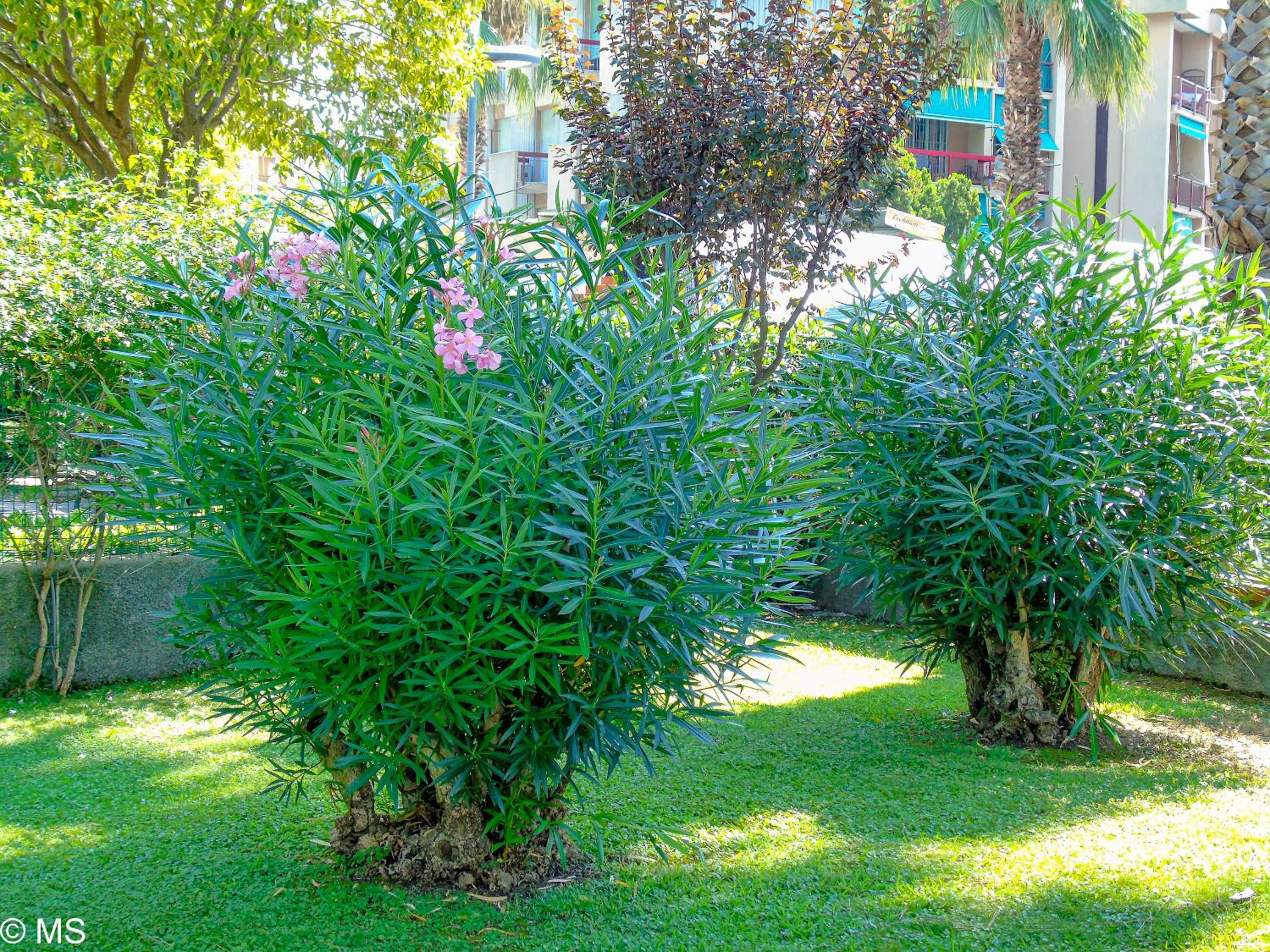 Pietra Home, posto auto, AC ,WIFI, 150mt dal mare view 3