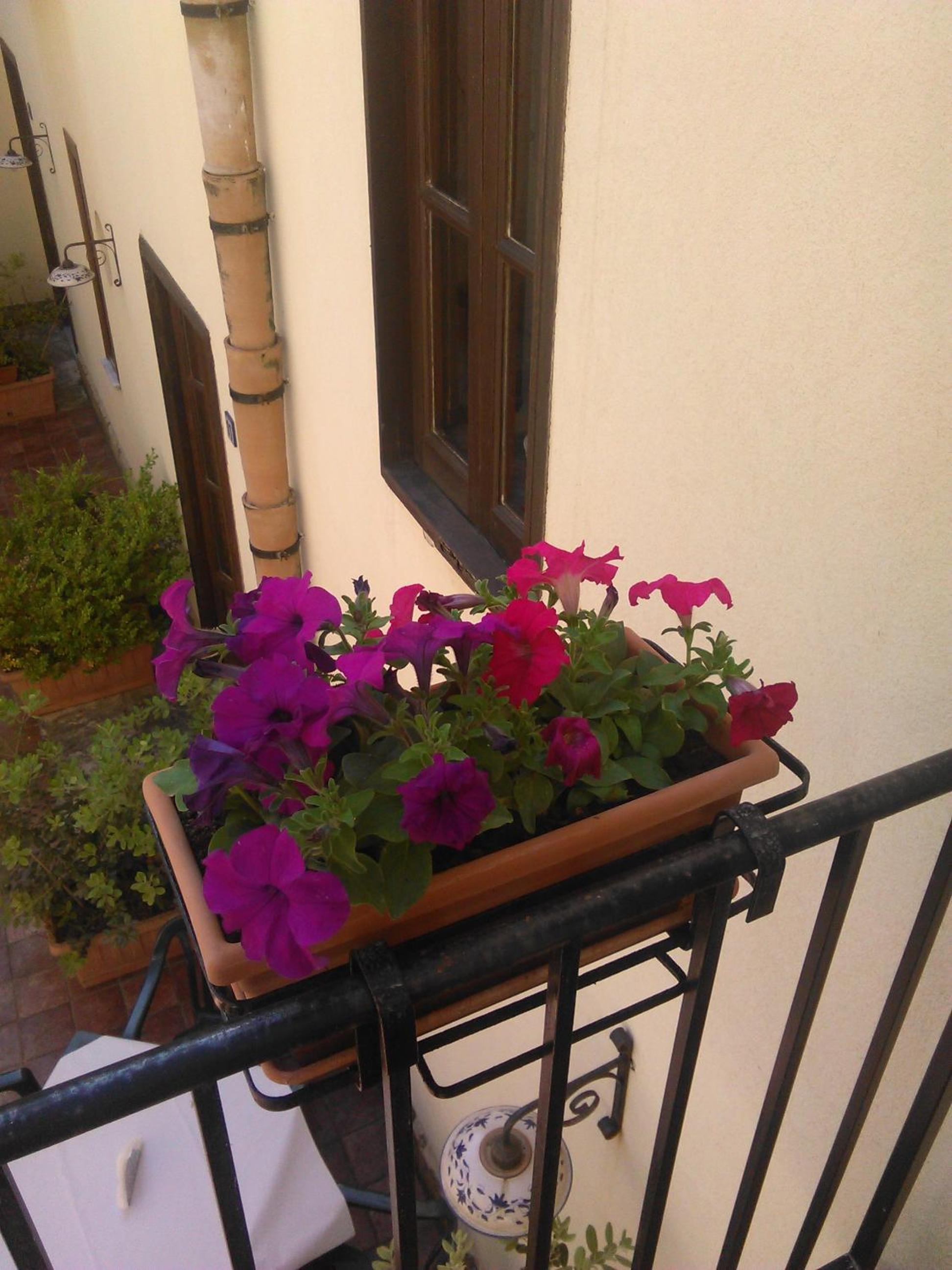 Photo 31