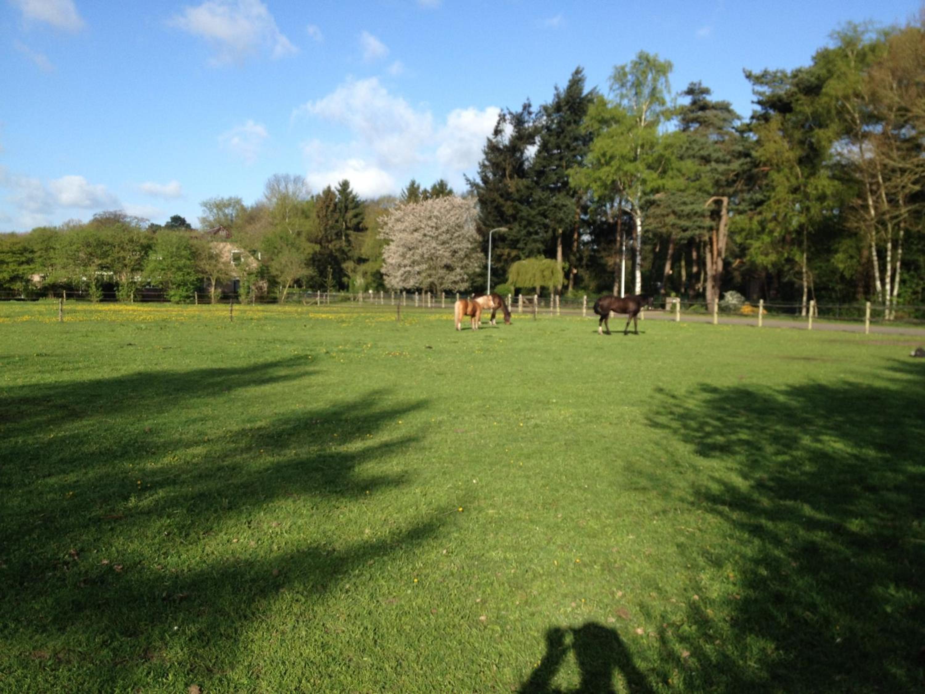 De Heidehoeve, photo 24