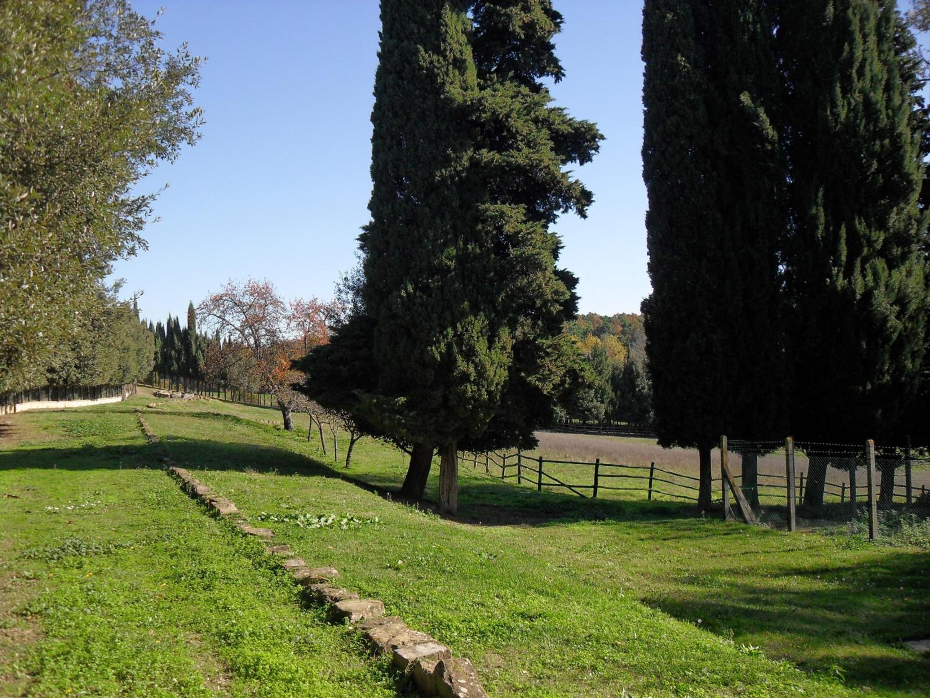 Photo 49