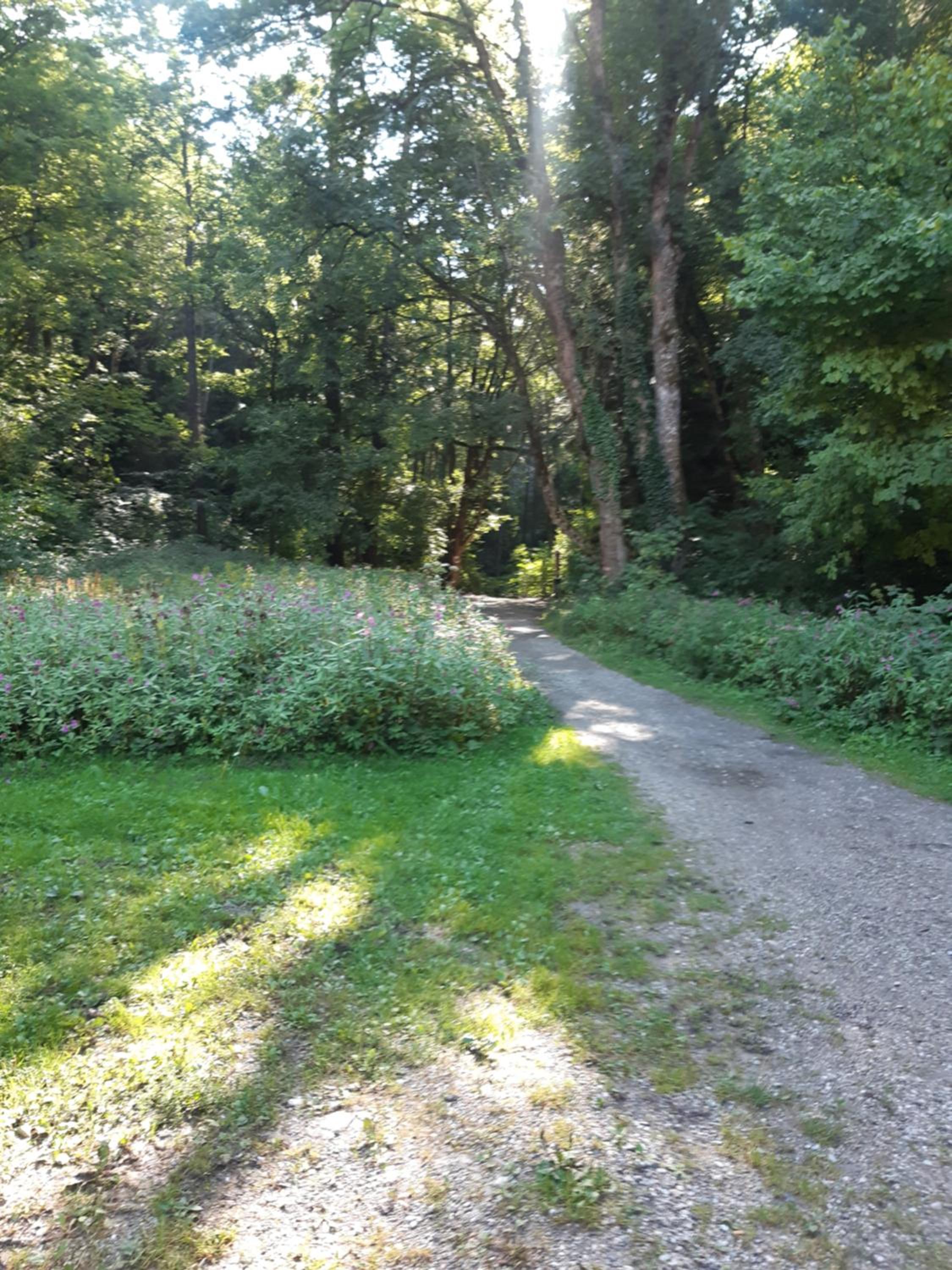 Schutzhaus Johannesbachklamm view 3