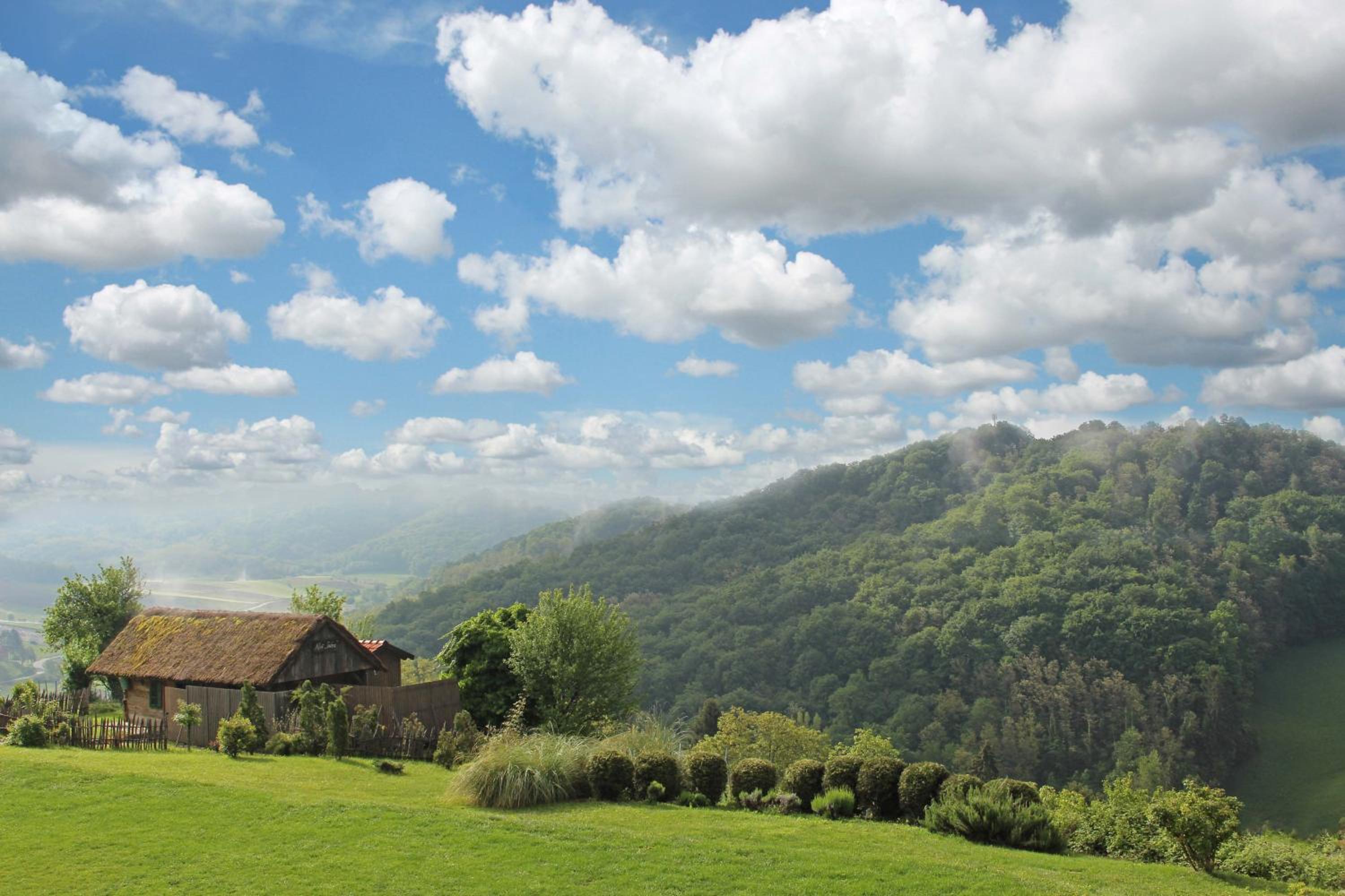 Winery, Restaurant & Pension Vuglec Breg