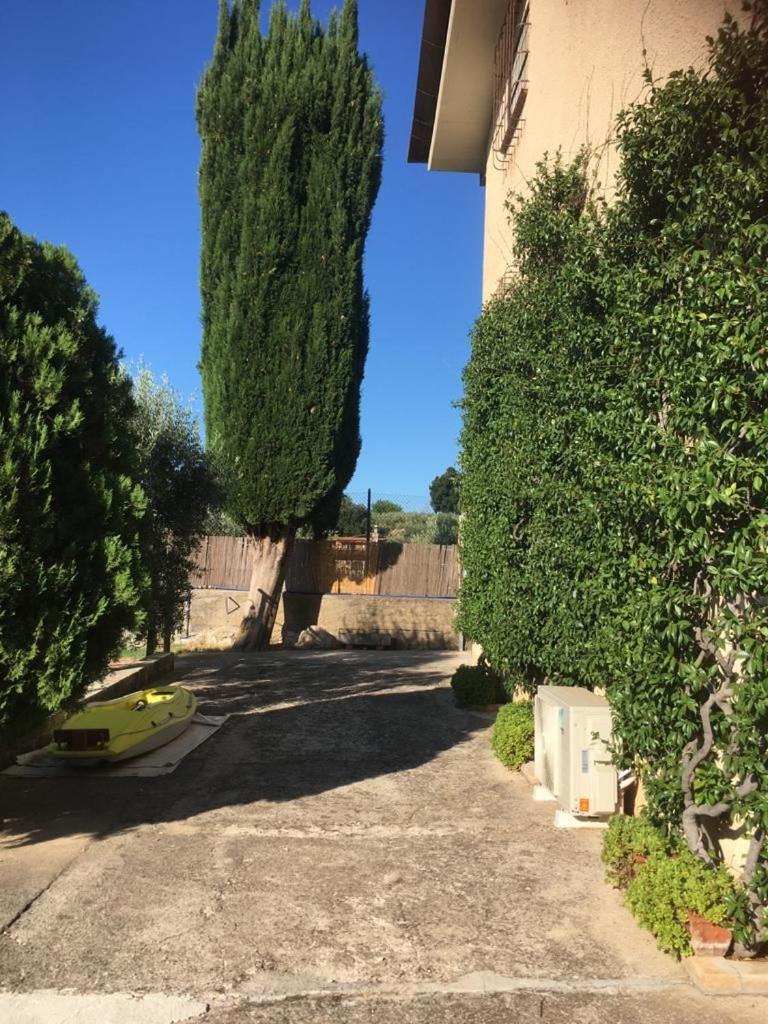 Casa fra gli ulivi di Giuseppe view 2