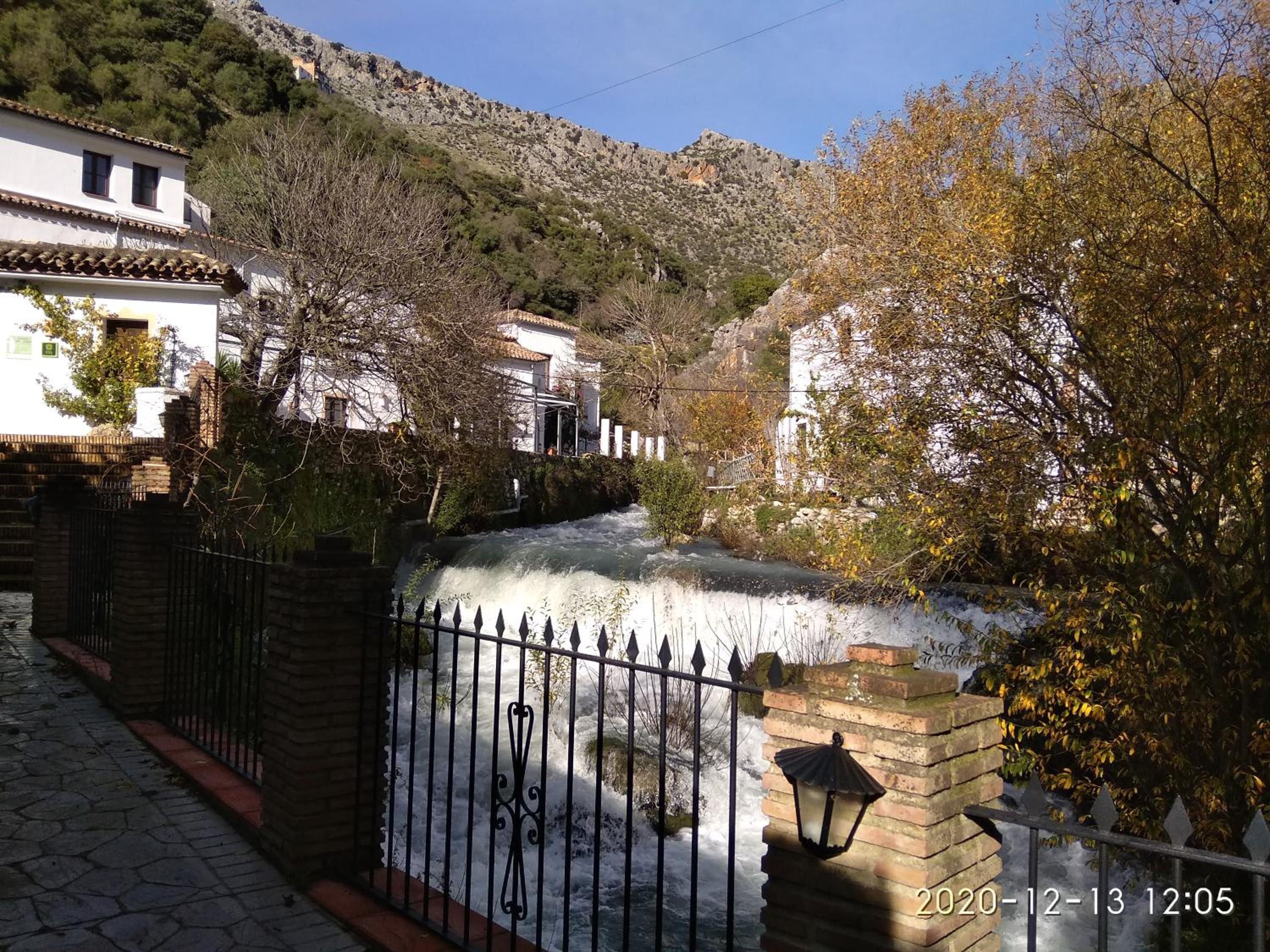 Photo 20