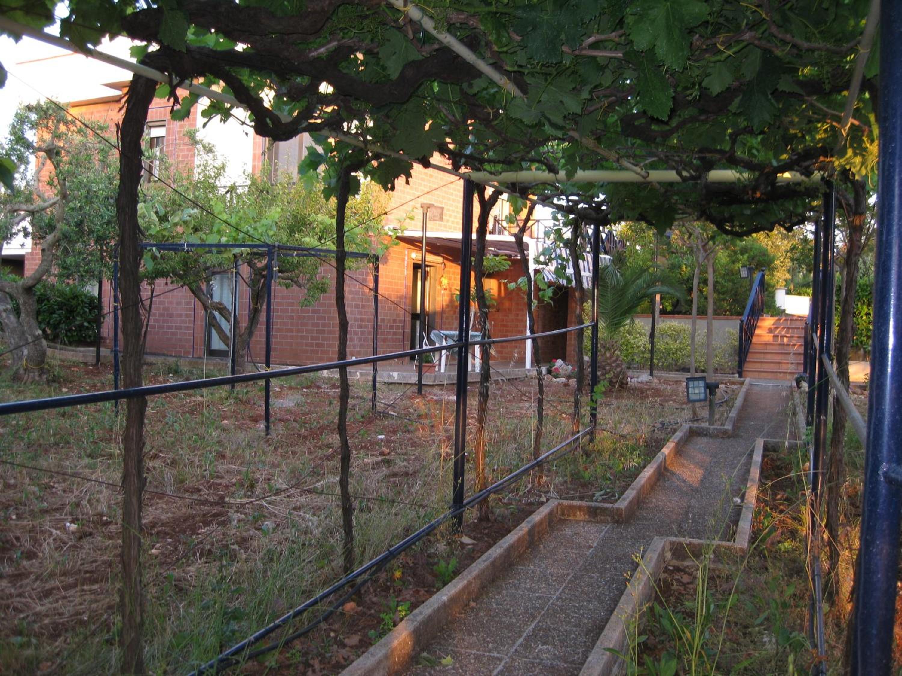 Uacella