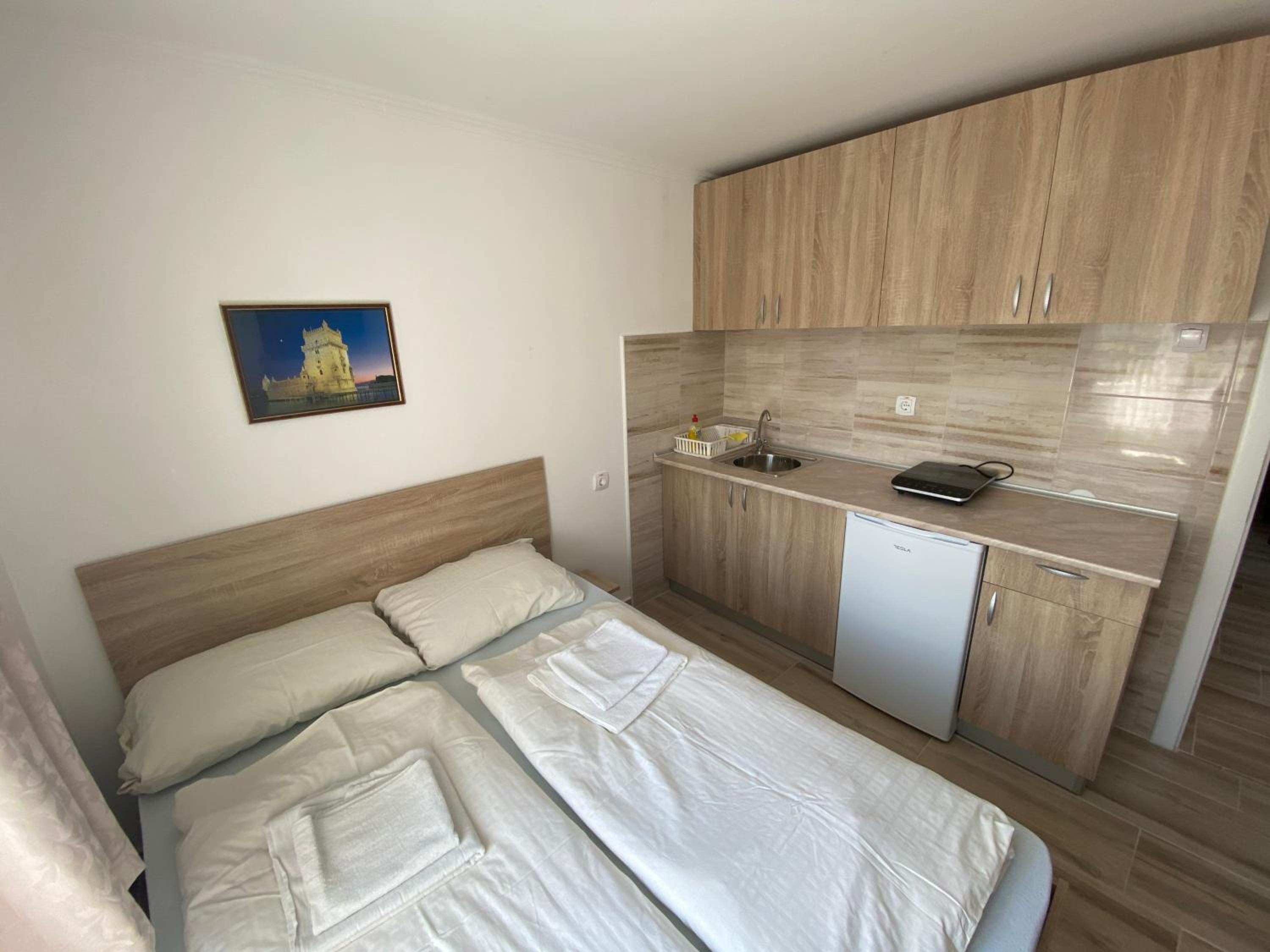 Vila Zdravković Prolom Banja view 4
