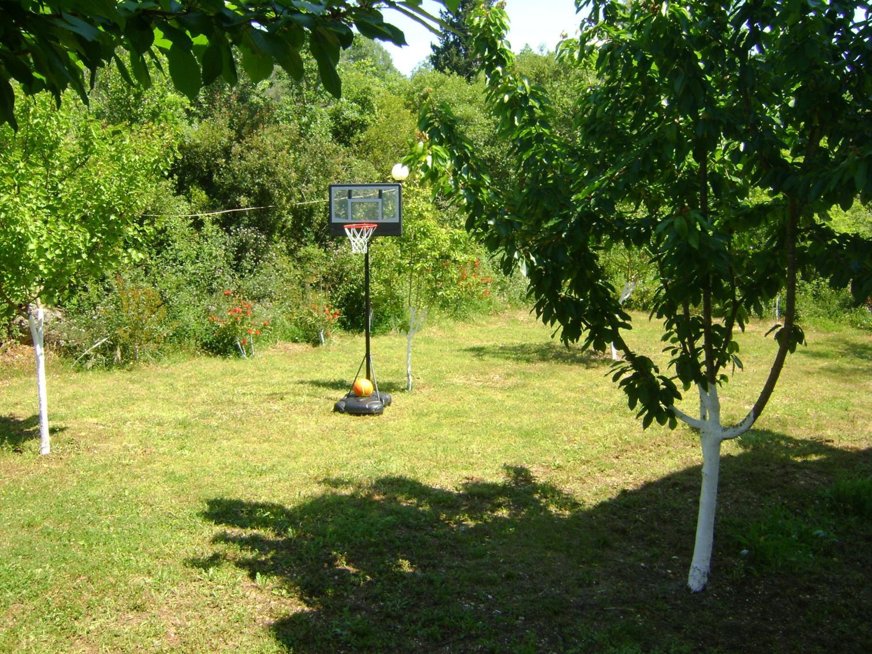 Photo 36