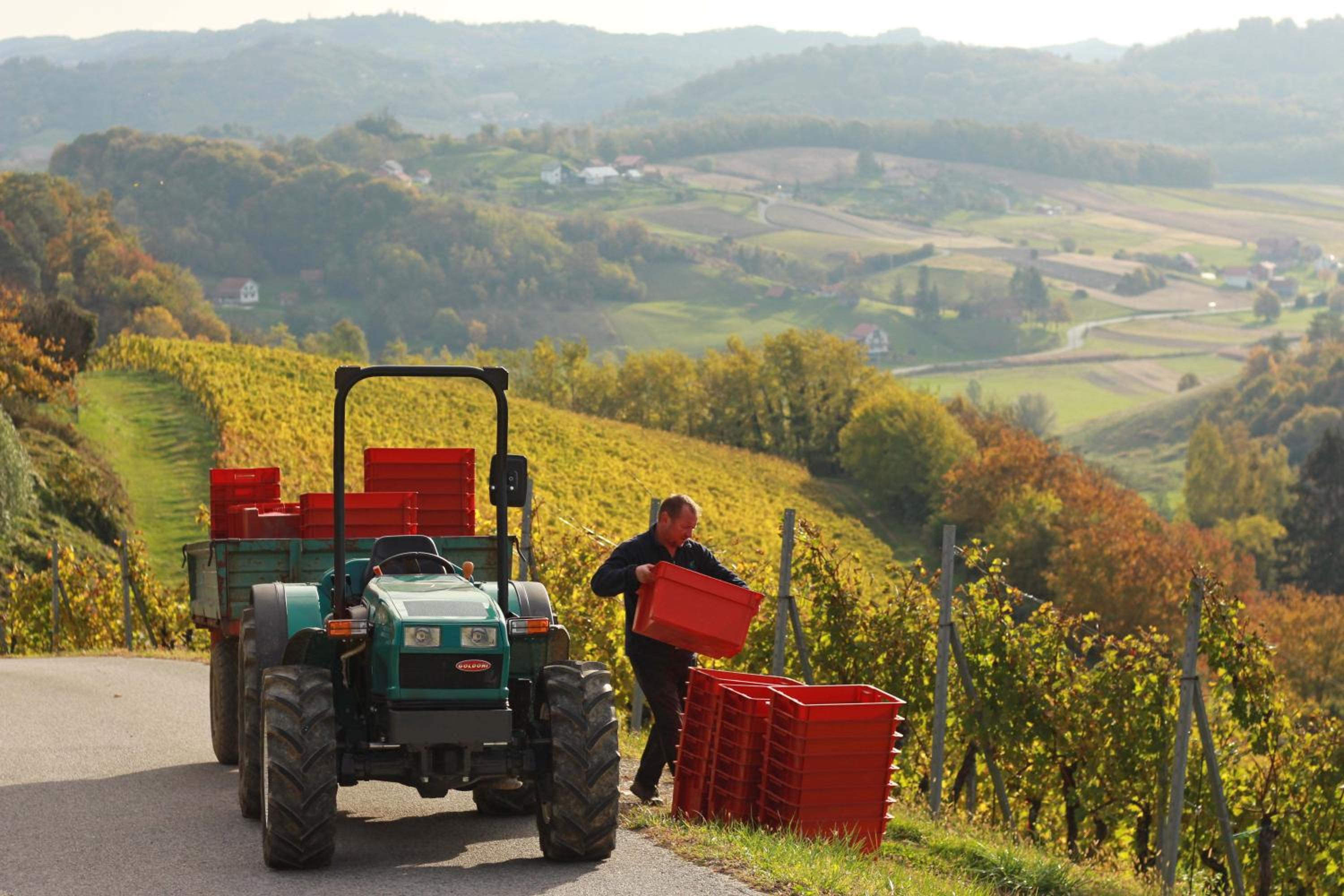 Winery, Restaurant & Pension Vuglec Breg