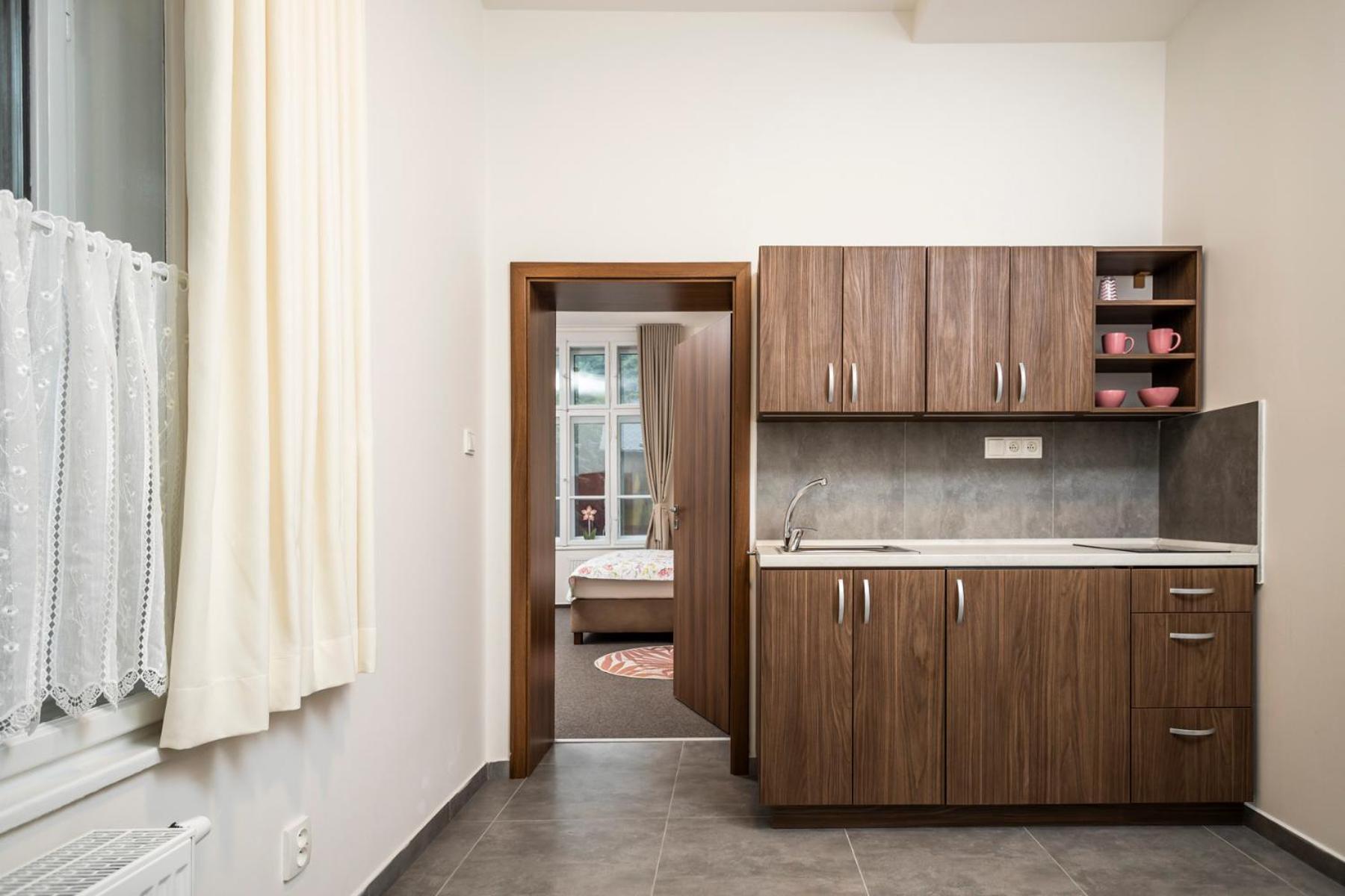 APARTMÁNY VILA LIBĚNA view 5