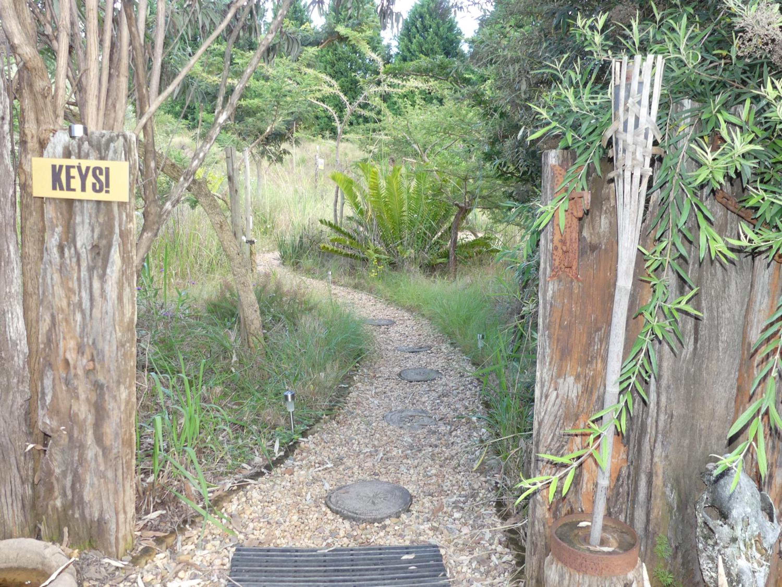 Photo 45