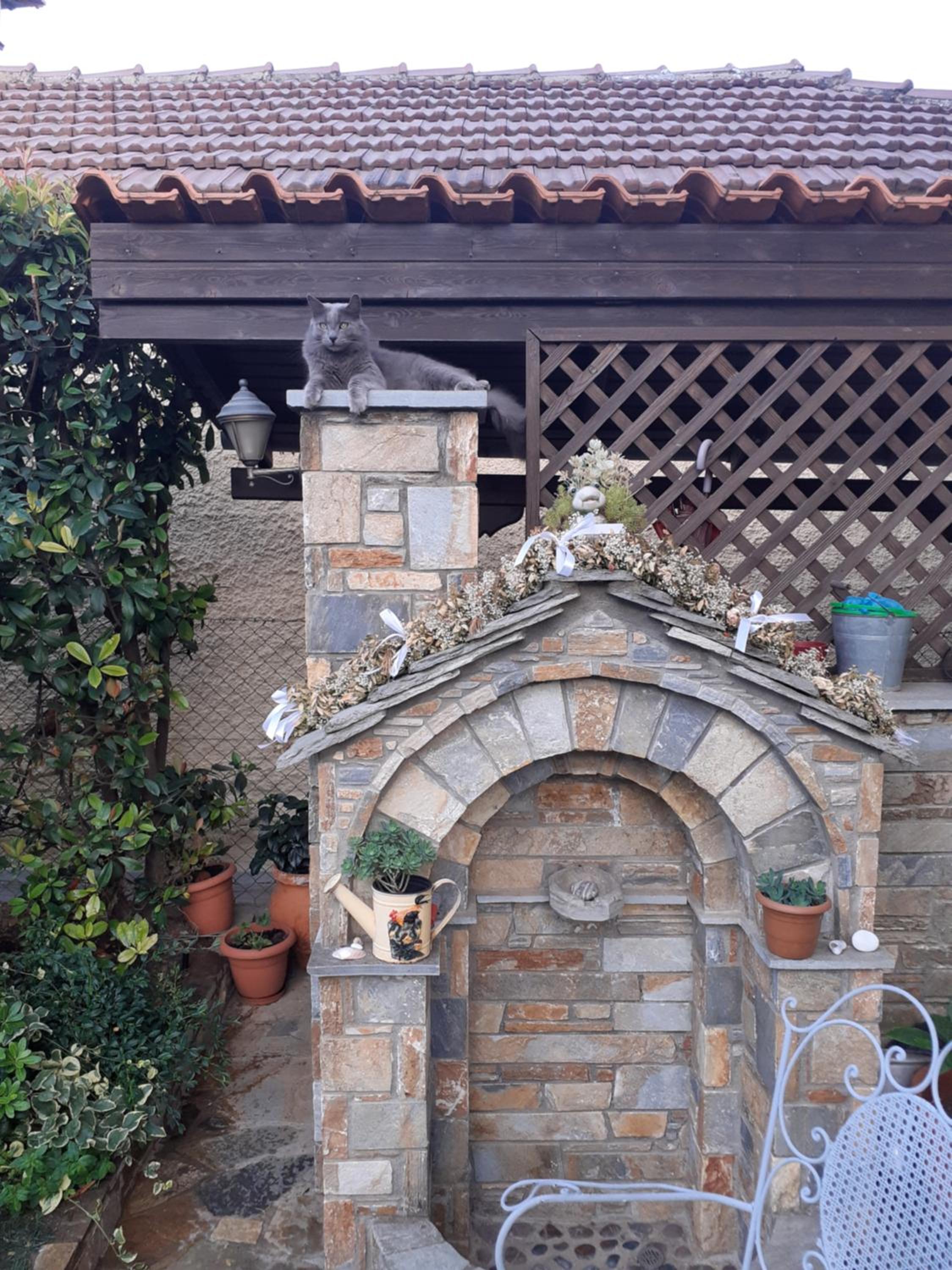 Traditional Maisonette In Pelion view 4