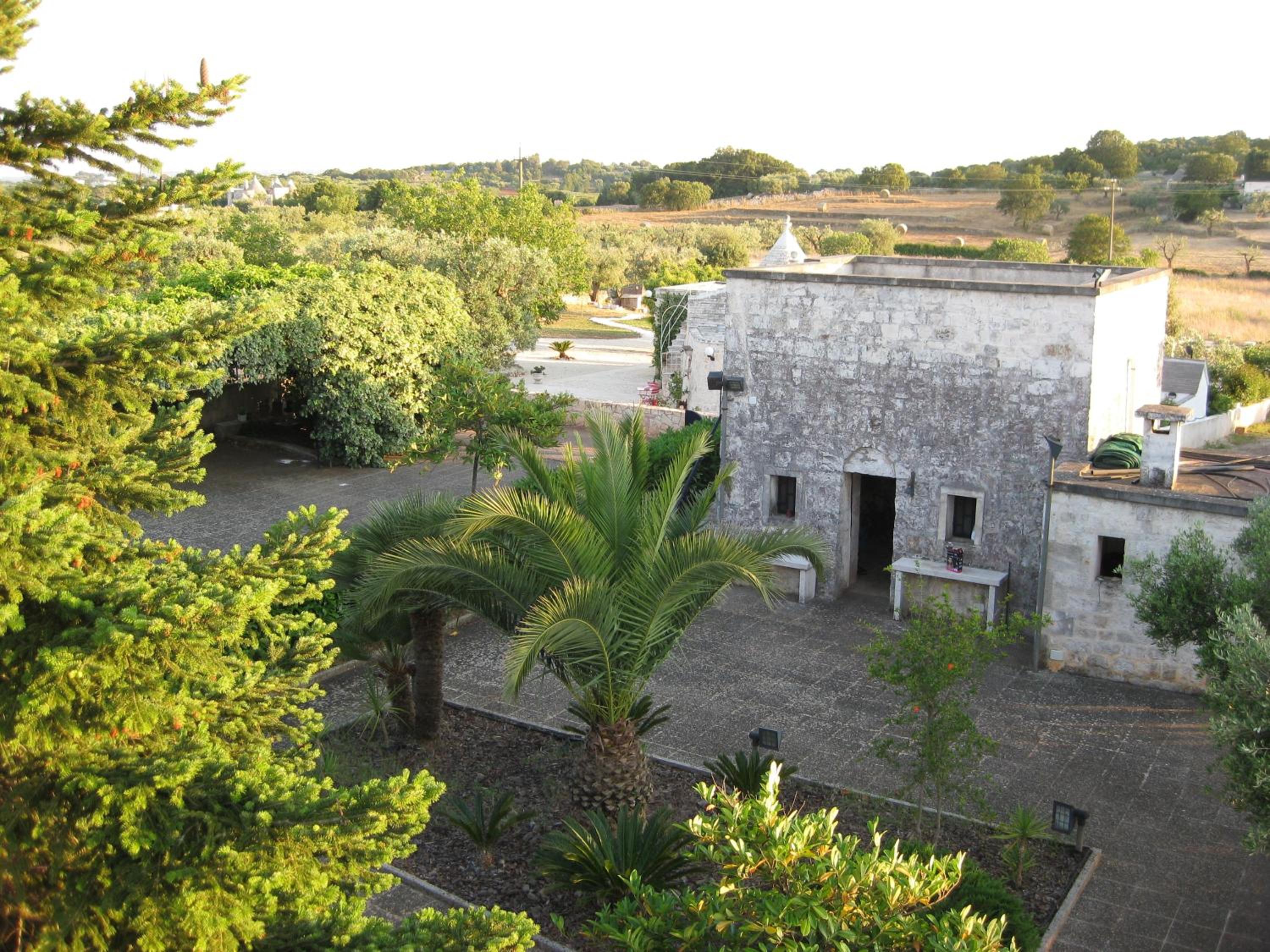 Uacella