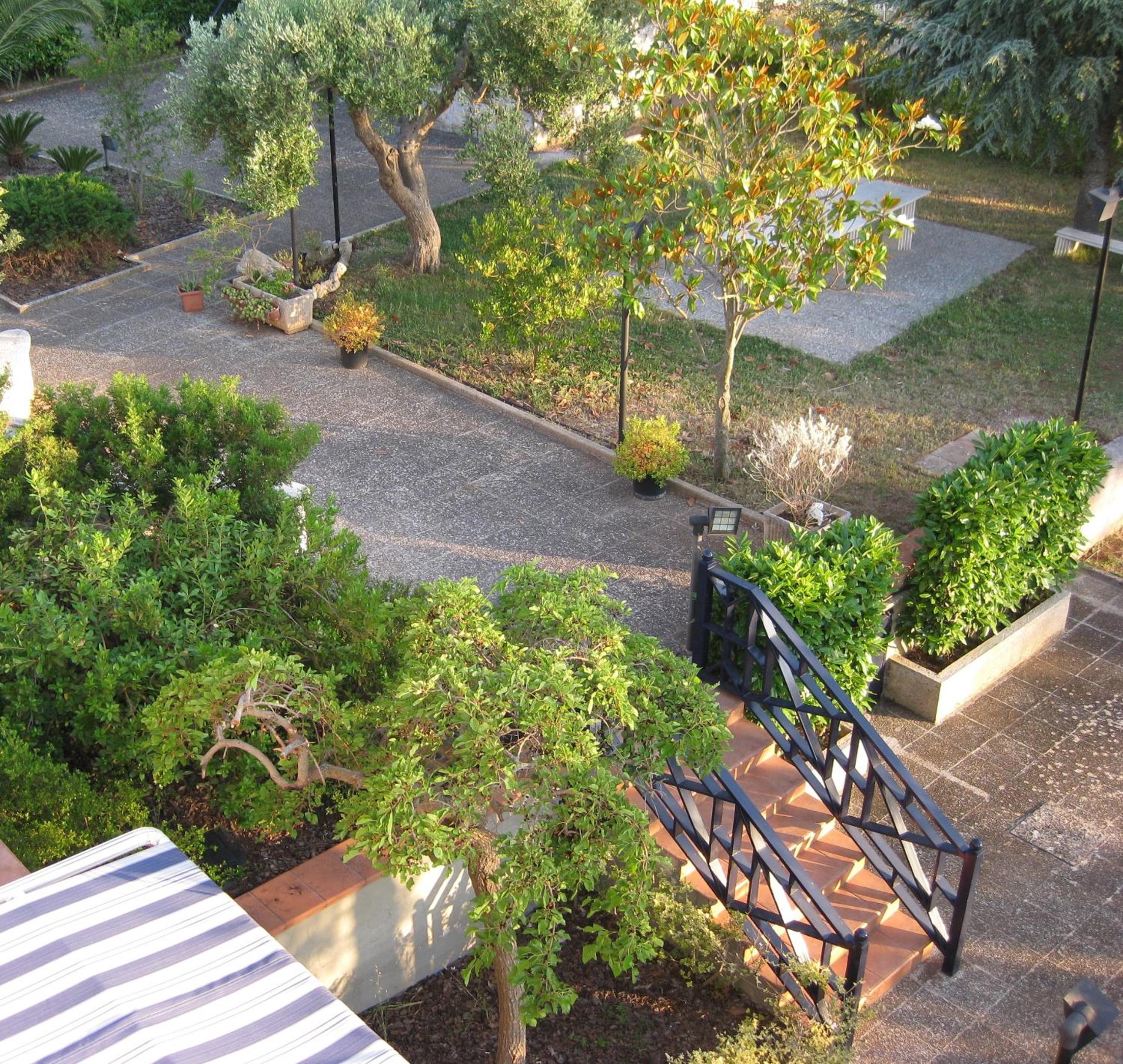 Uacella