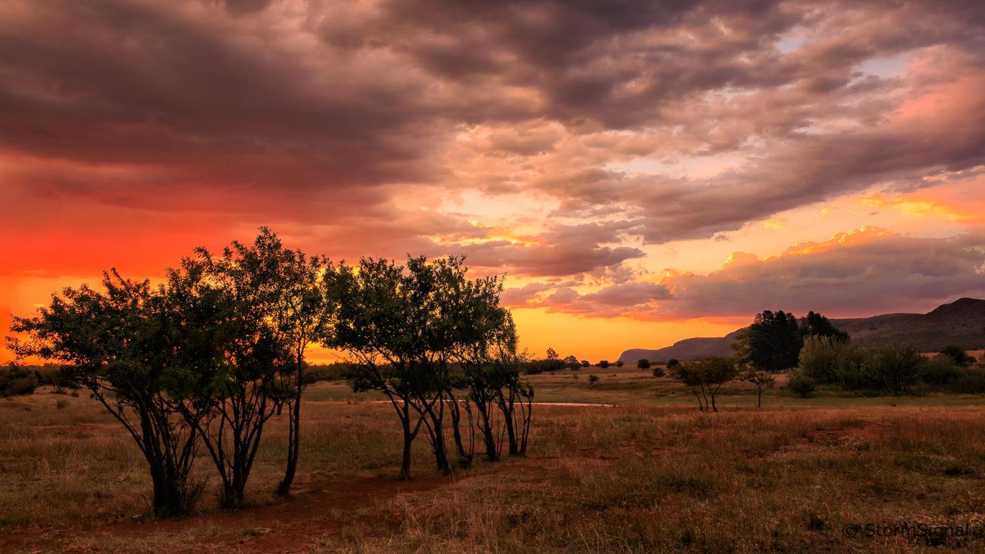 Thaba Manzi Ranch