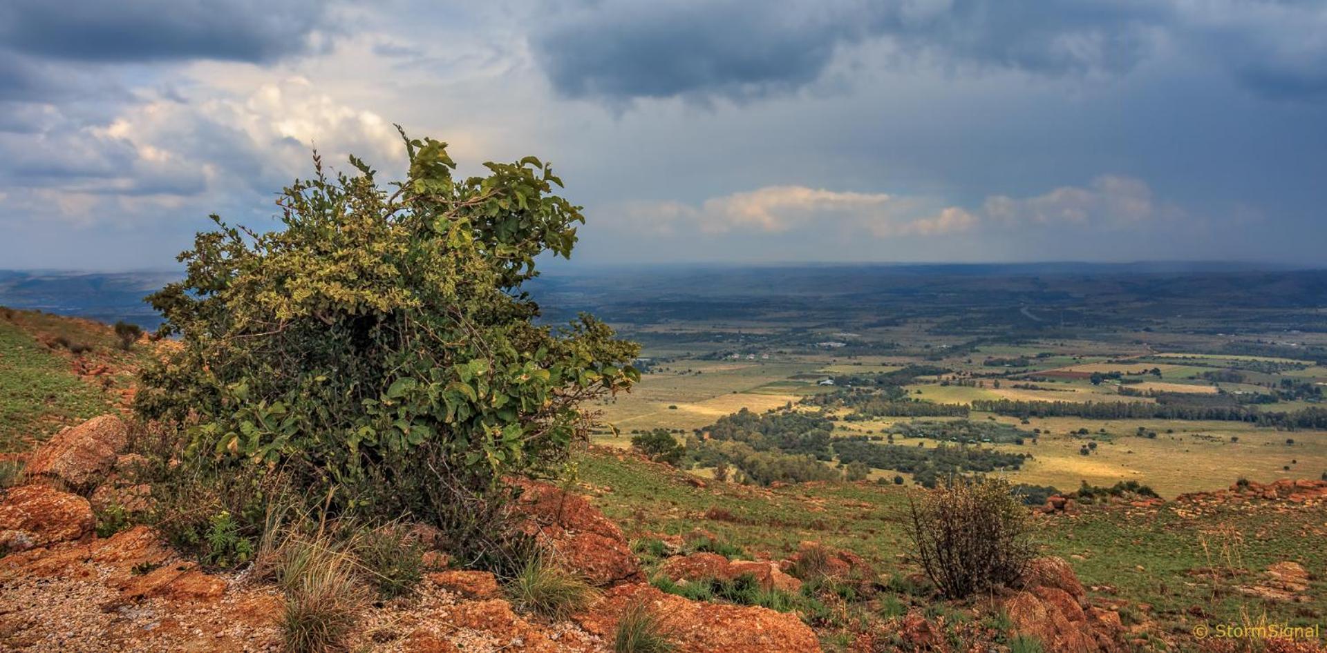 Thaba Manzi Ranch