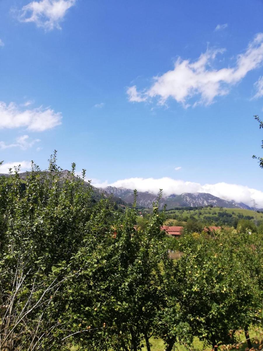 La Casa Nueva Alojamiento Rural