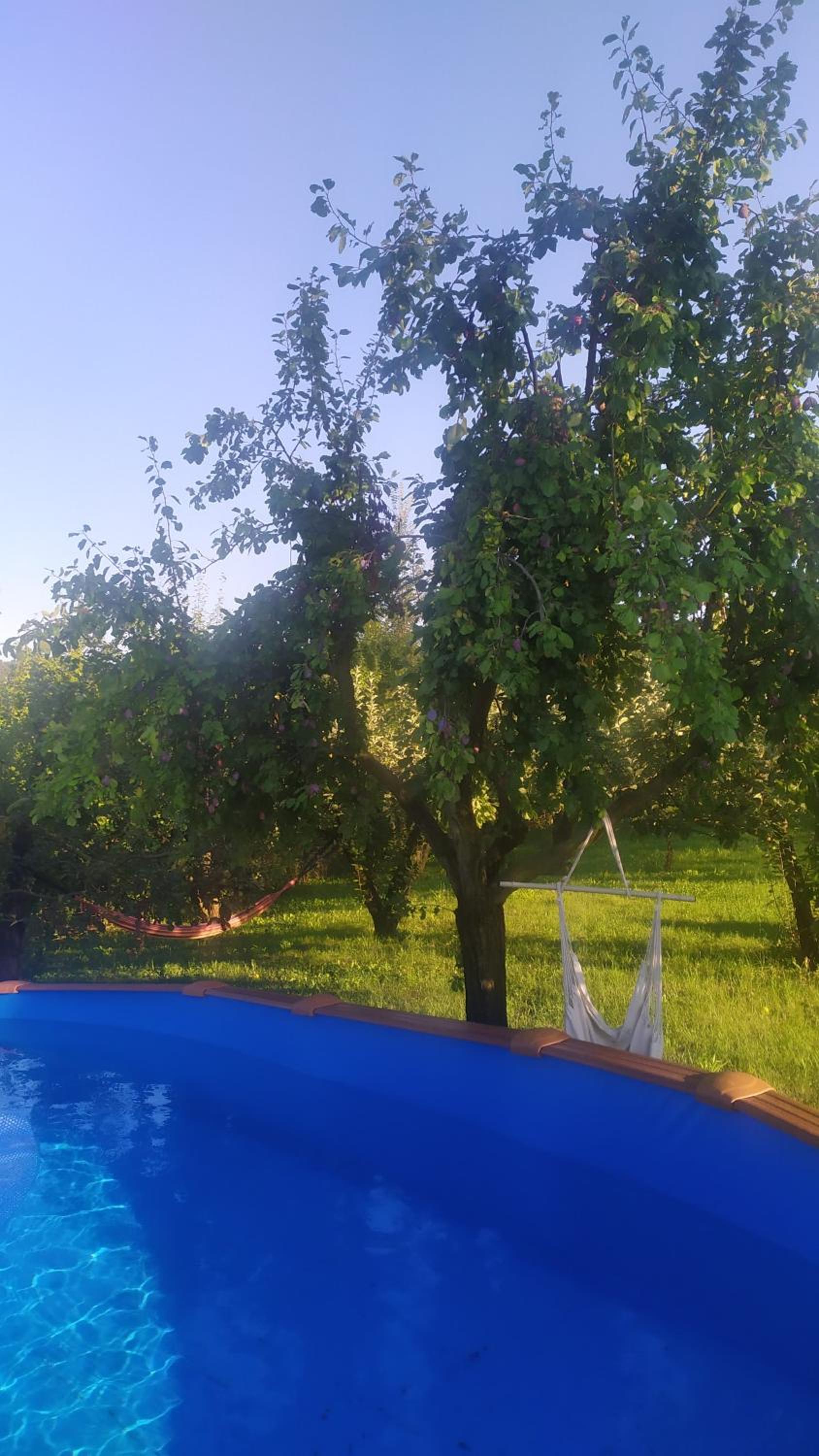 B&B Naturin - Vegan Eco Farm