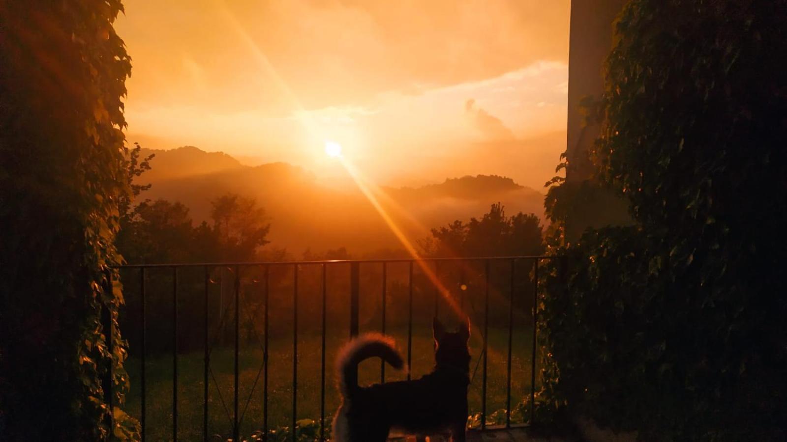 B&B Naturin - Vegan Eco Farm