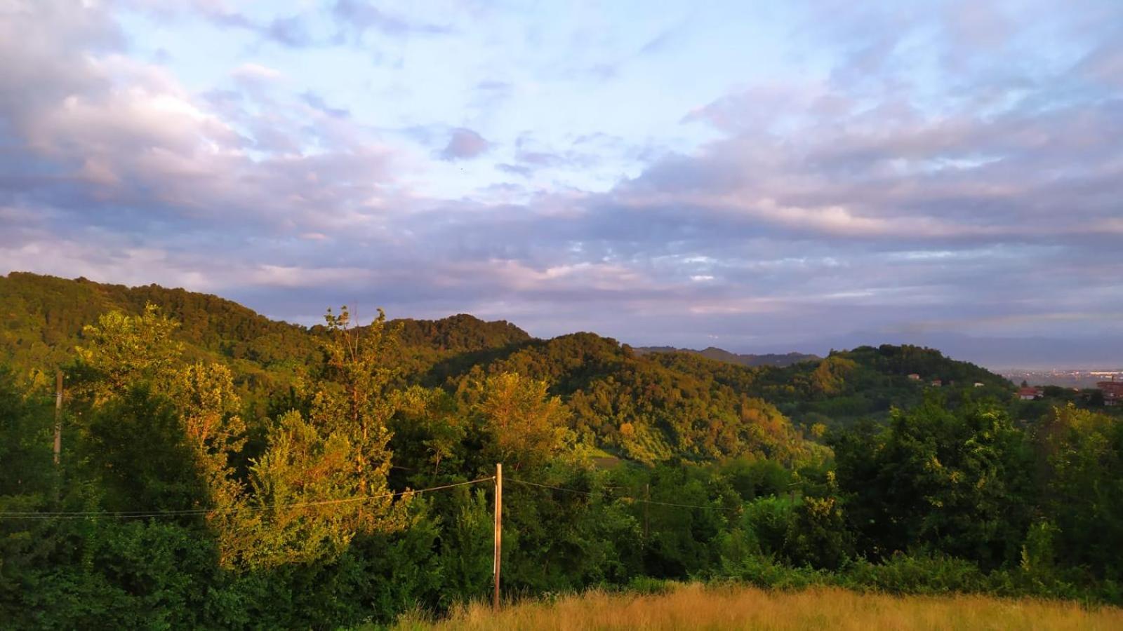 B&B Naturin - Vegan Eco Farm