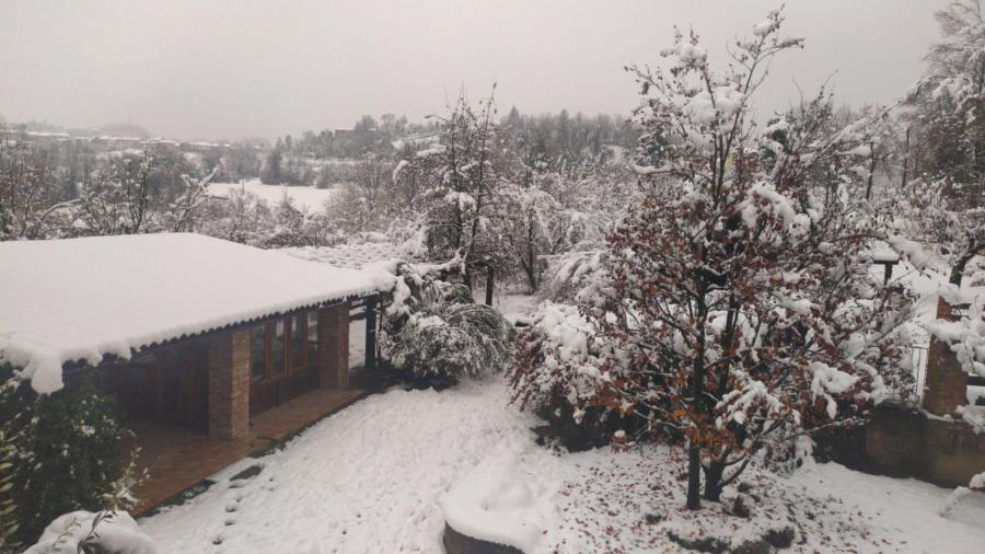 B&B Naturin - Vegan Eco Farm