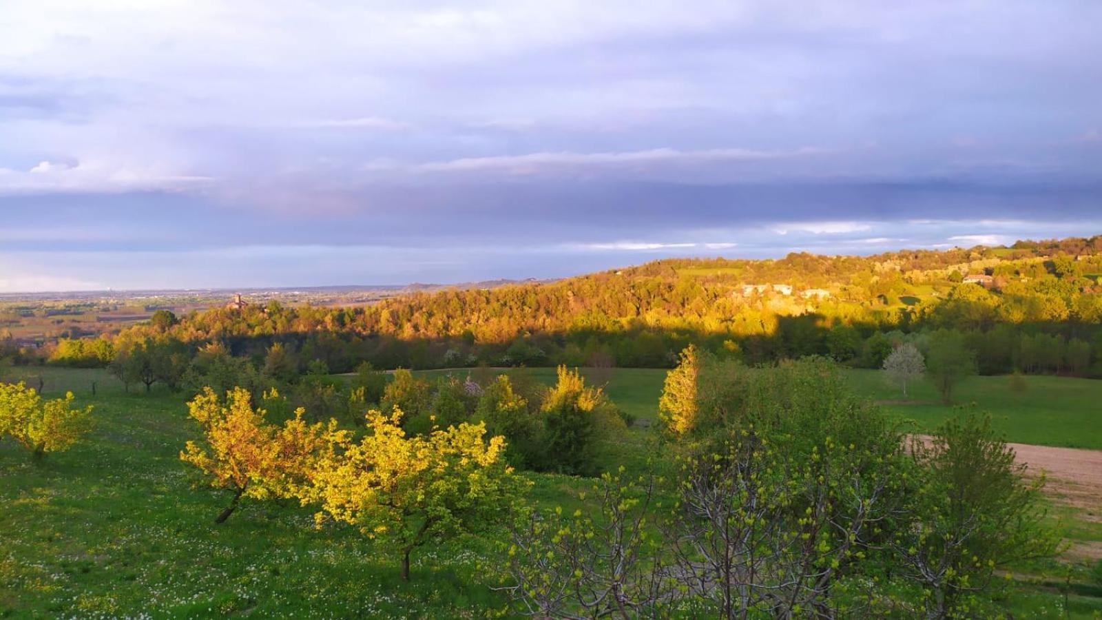 B&B Naturin - Vegan Eco Farm
